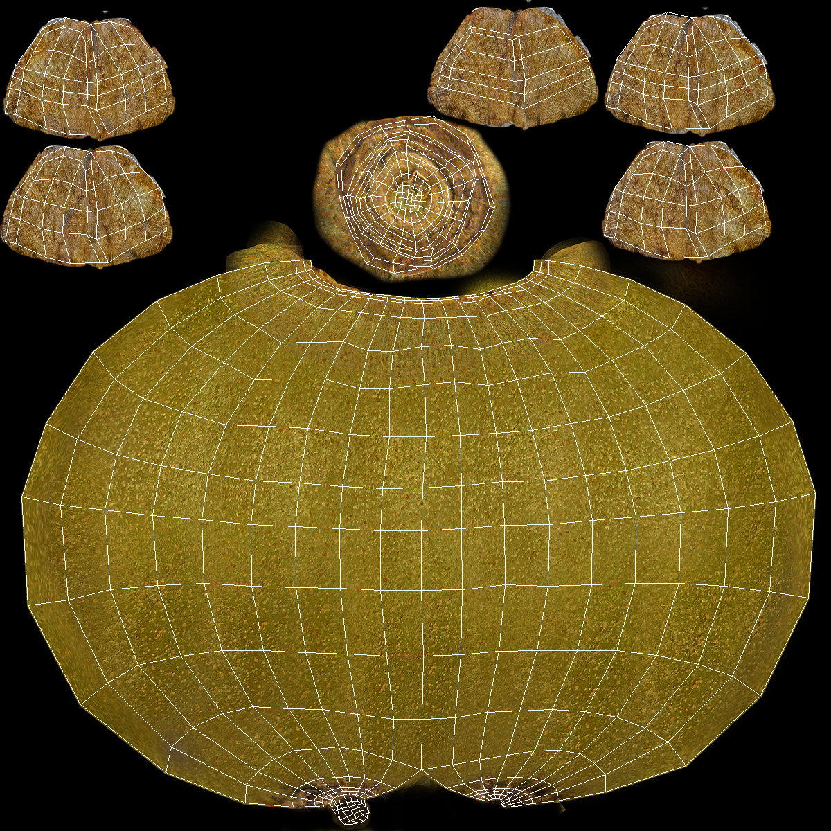 Kiwi Fruit with Fur 3D model