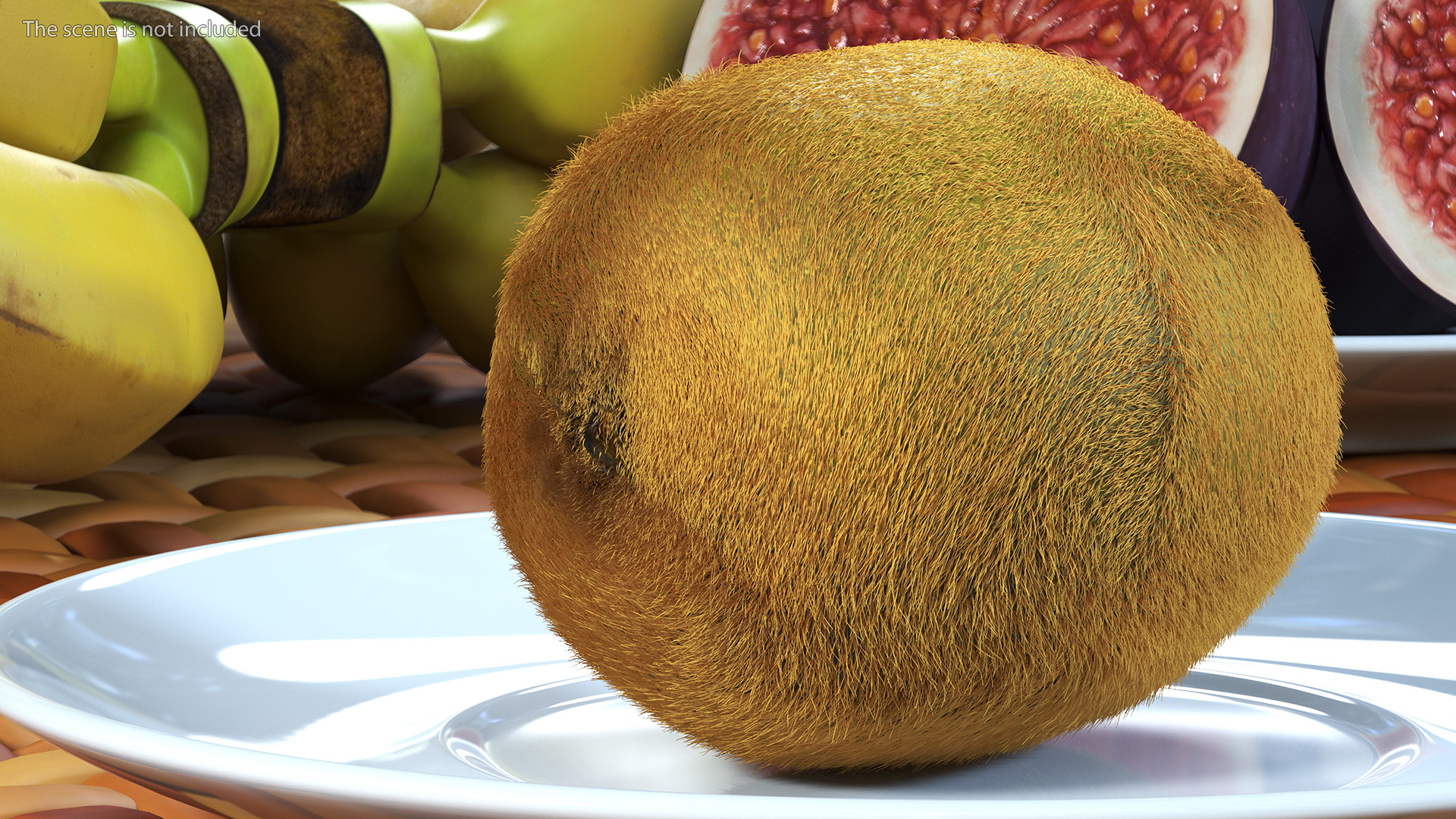 Kiwi Fruit with Fur 3D model