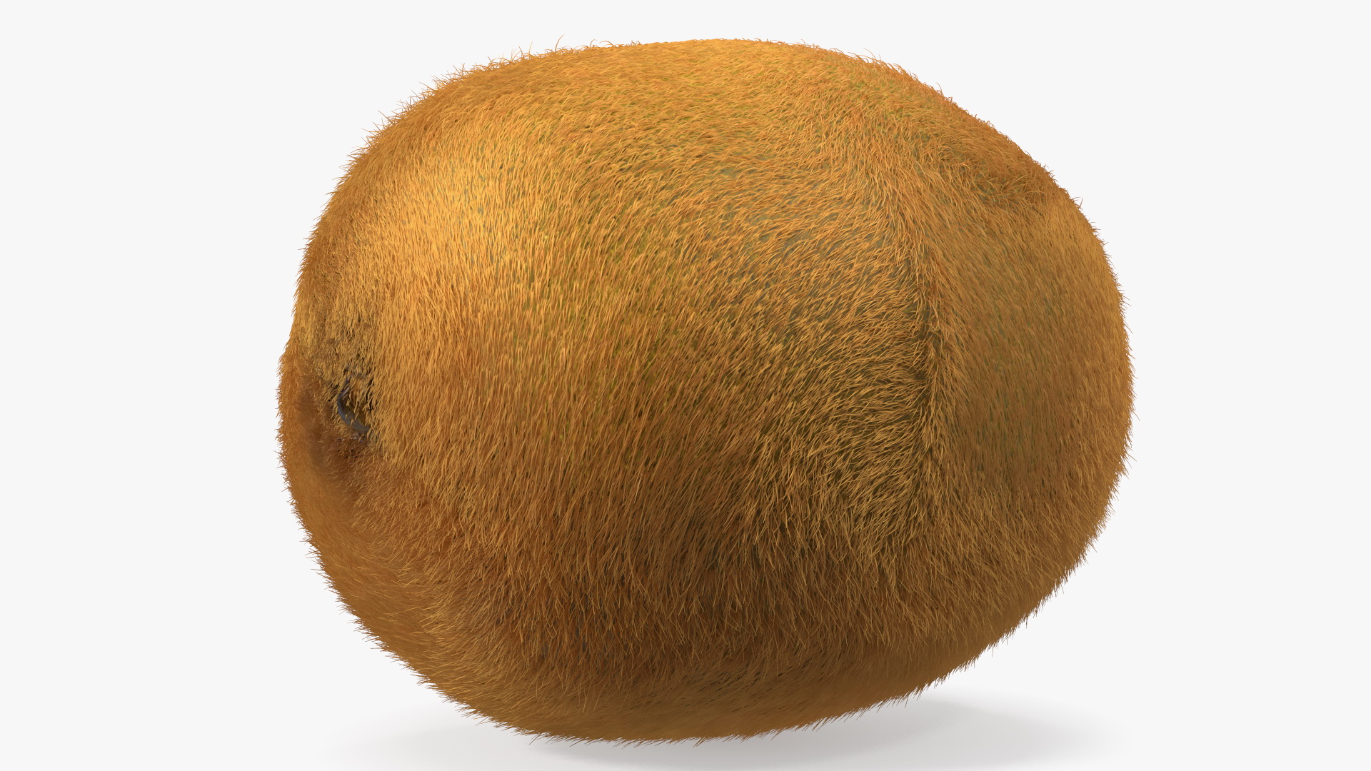 Kiwi Fruit with Fur 3D model