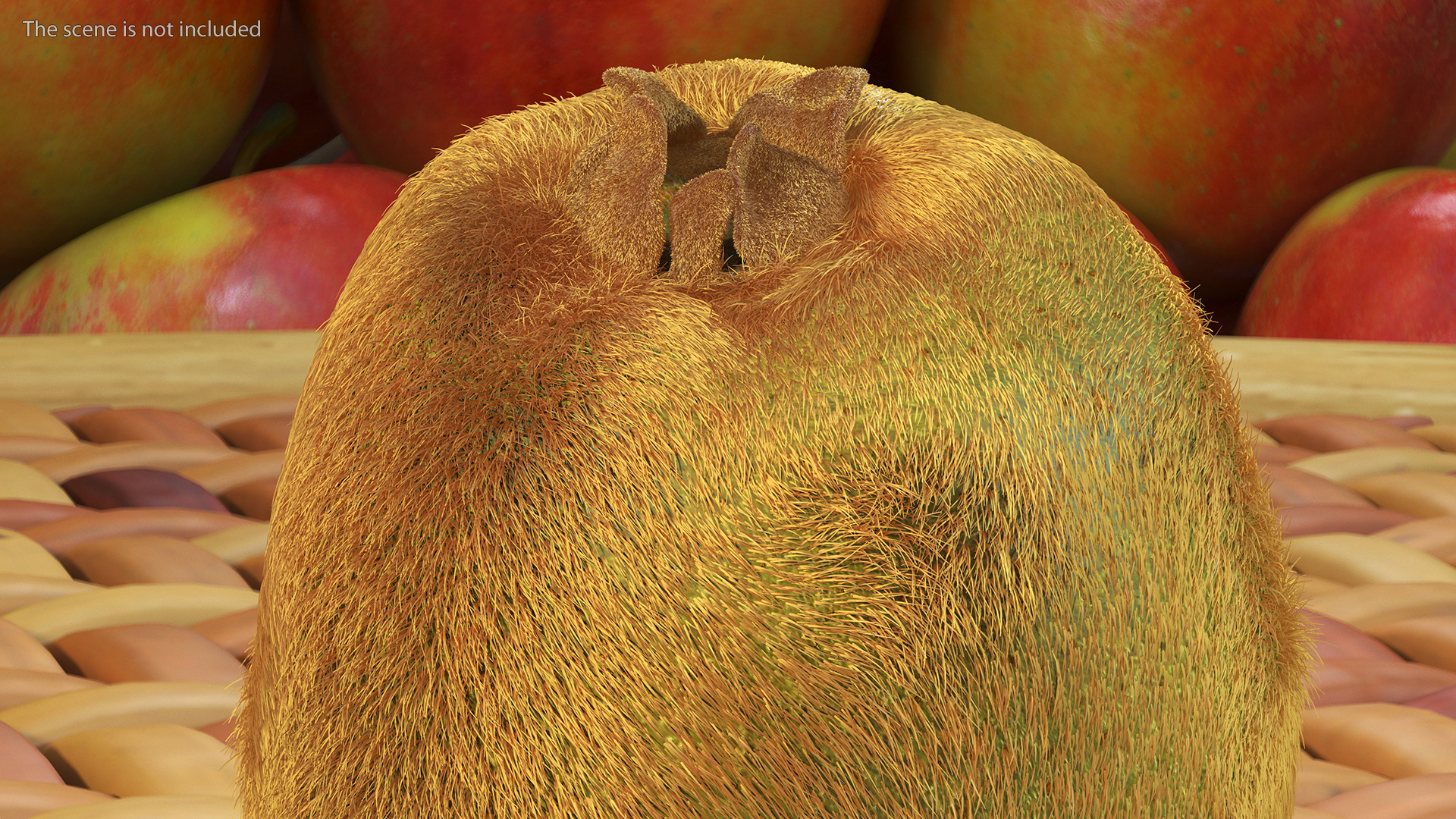 Kiwi Fruit with Fur 3D model