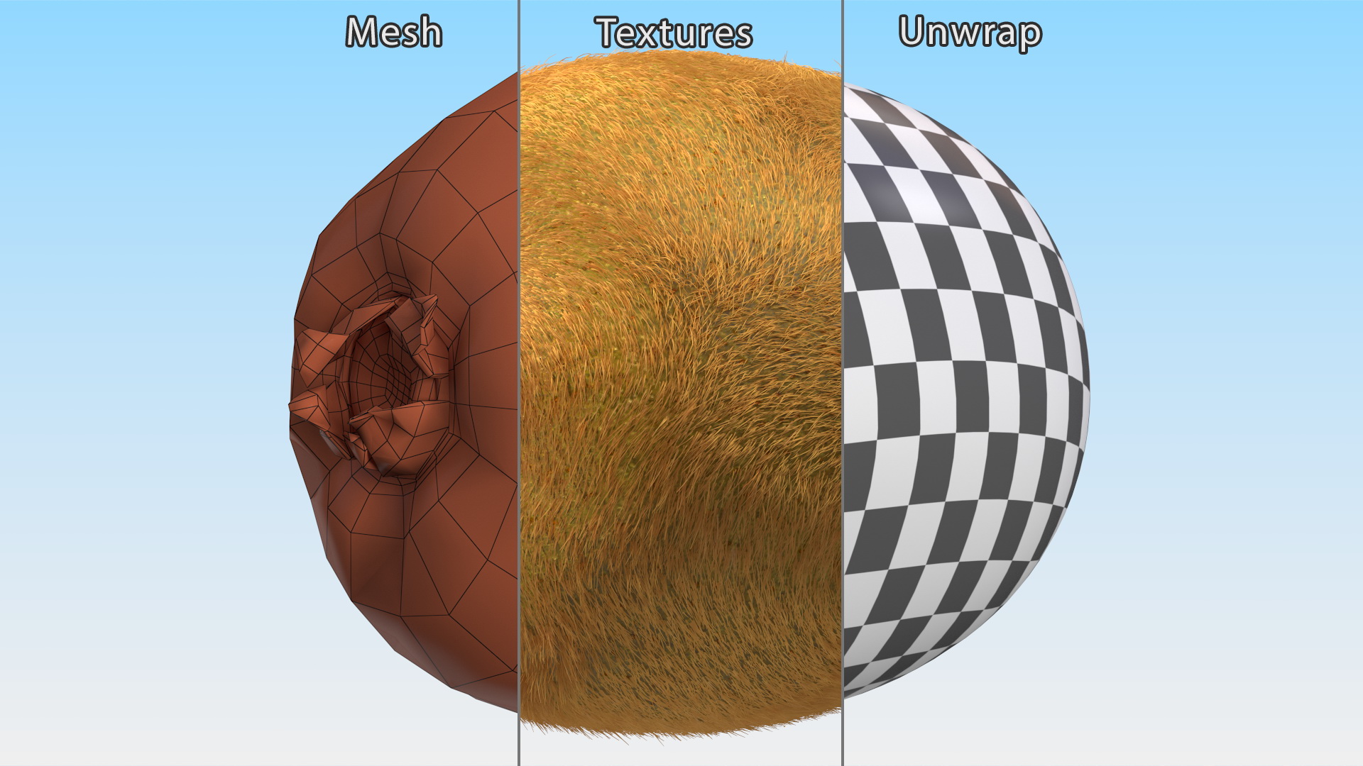 Kiwi Fruit with Fur 3D model