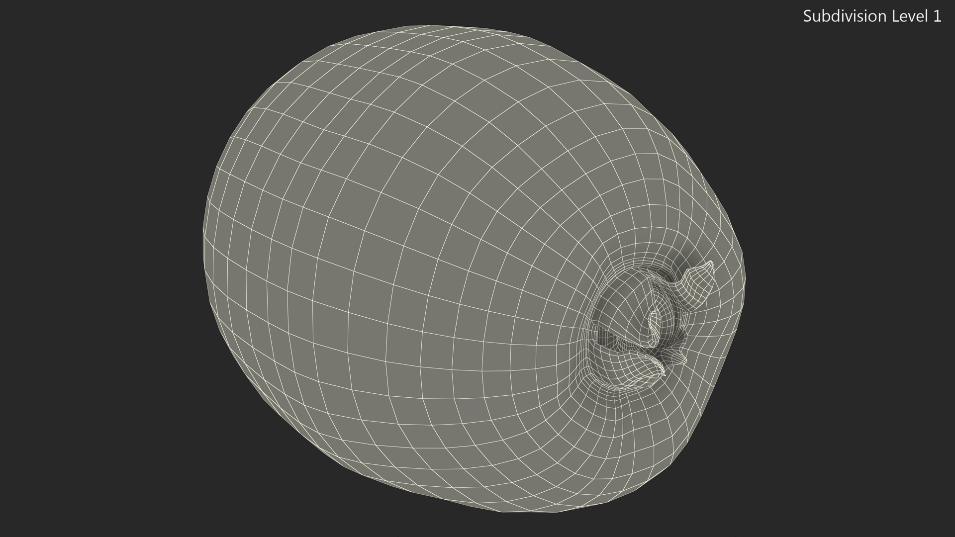 Kiwi Fruit with Fur 3D model