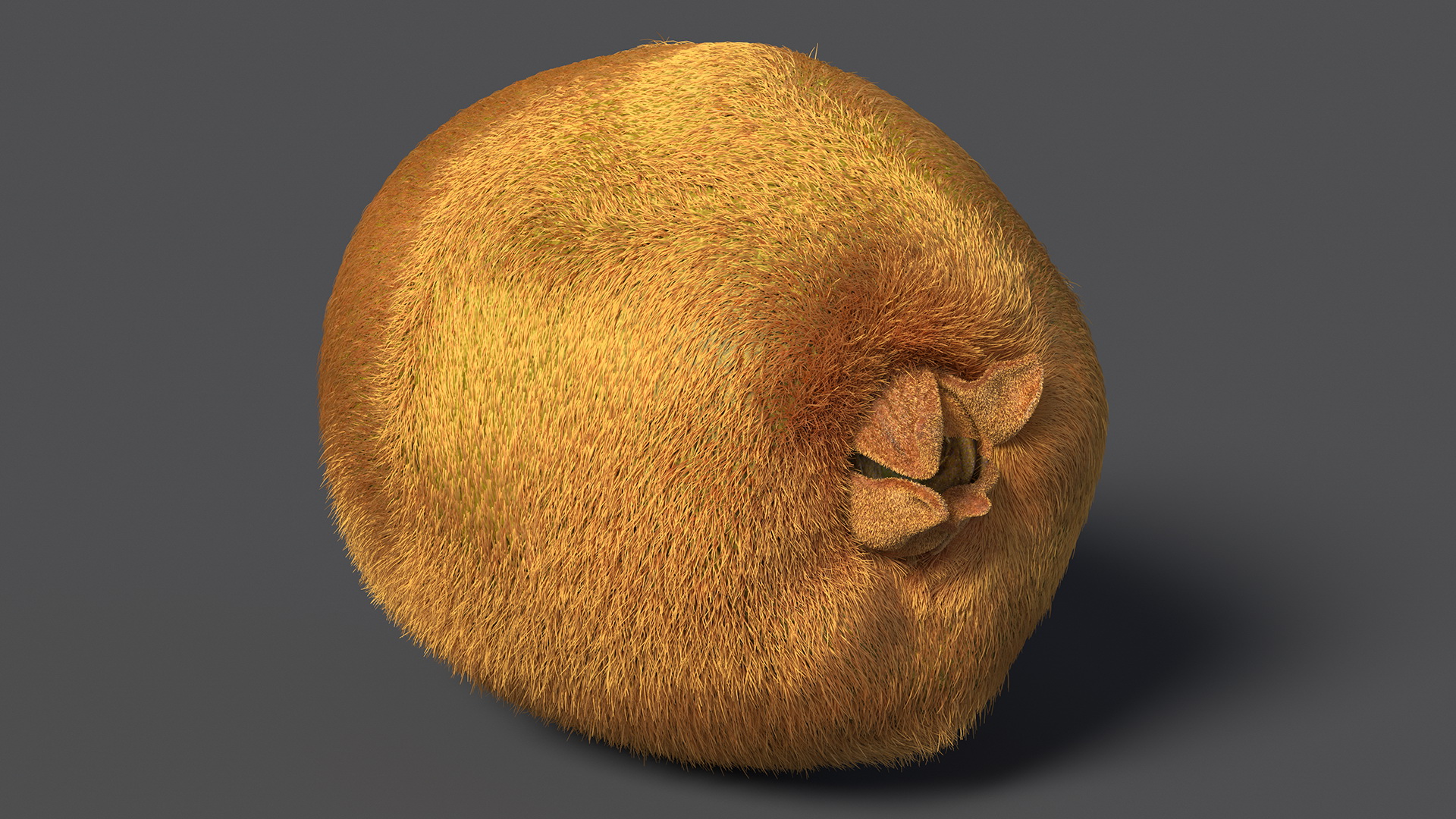 Kiwi Fruit with Fur 3D model