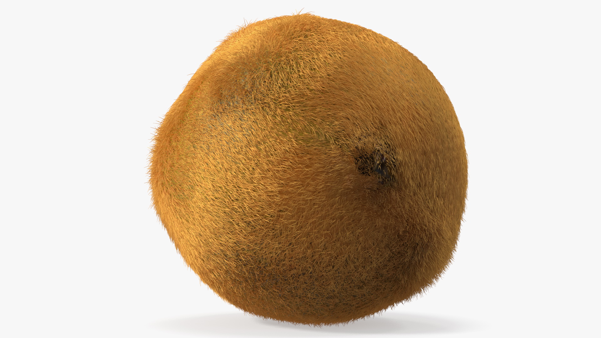 Kiwi Fruit with Fur 3D model