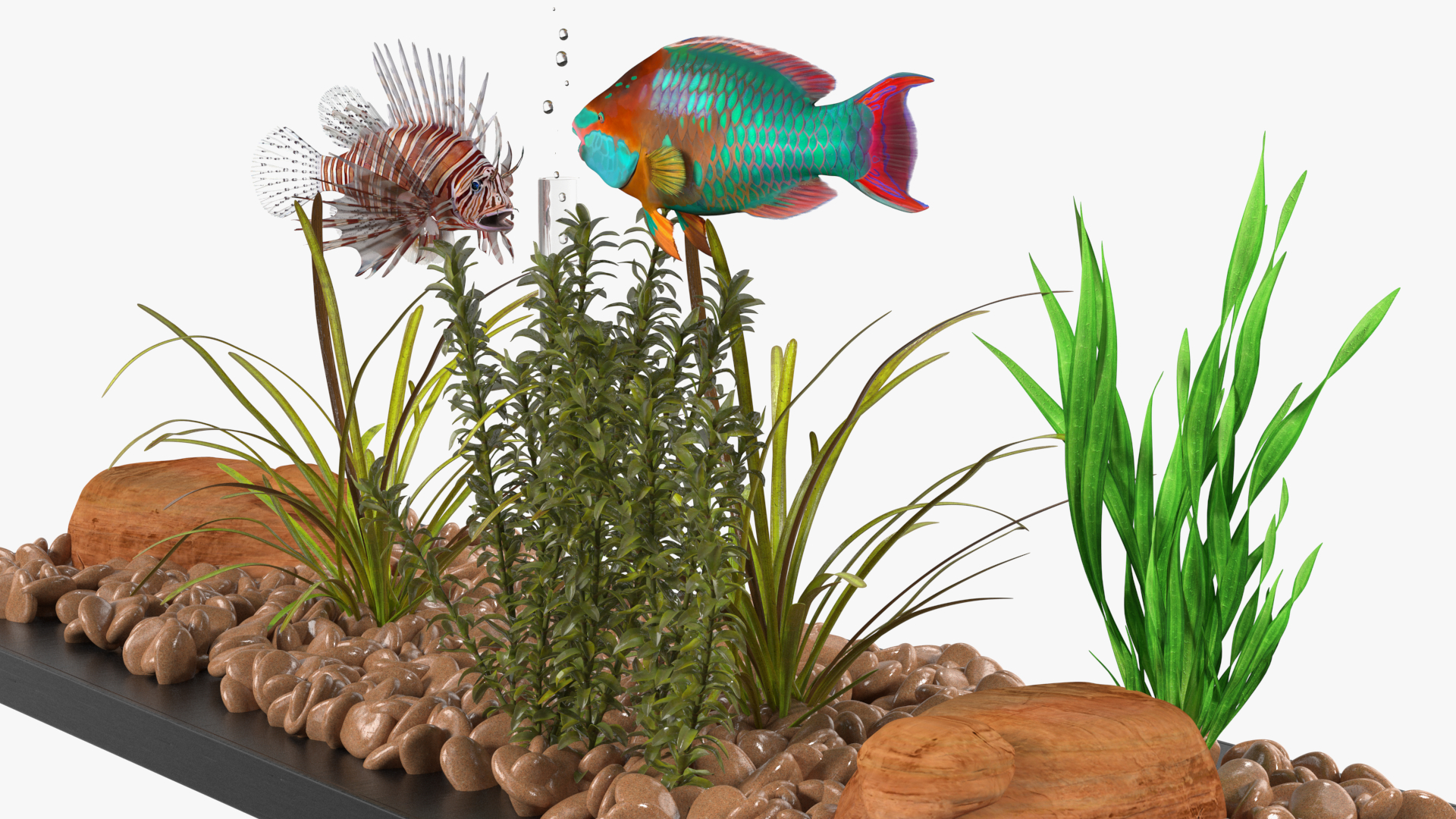 Aquarium Long Black 3D model