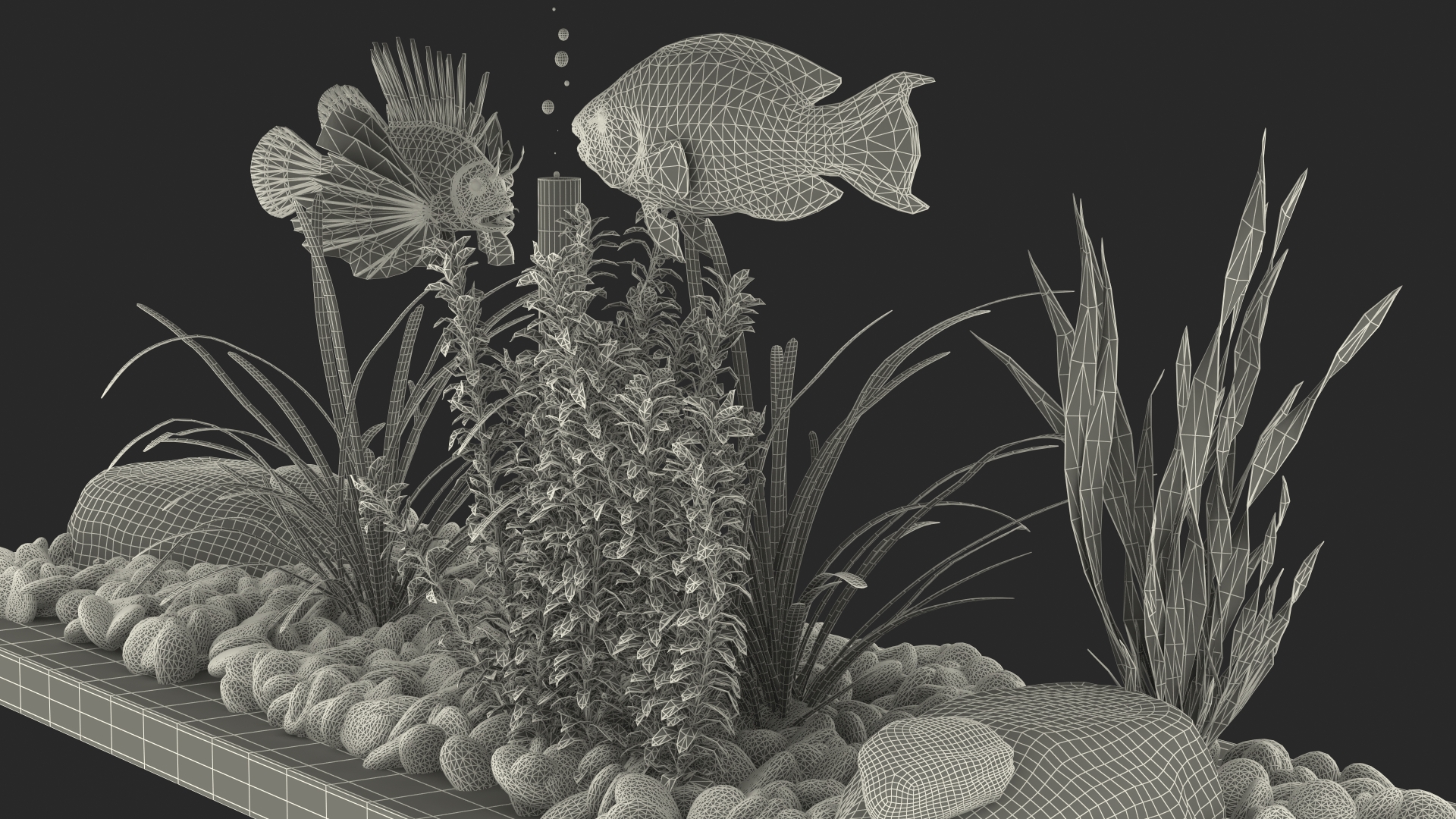 Aquarium Long Black 3D model