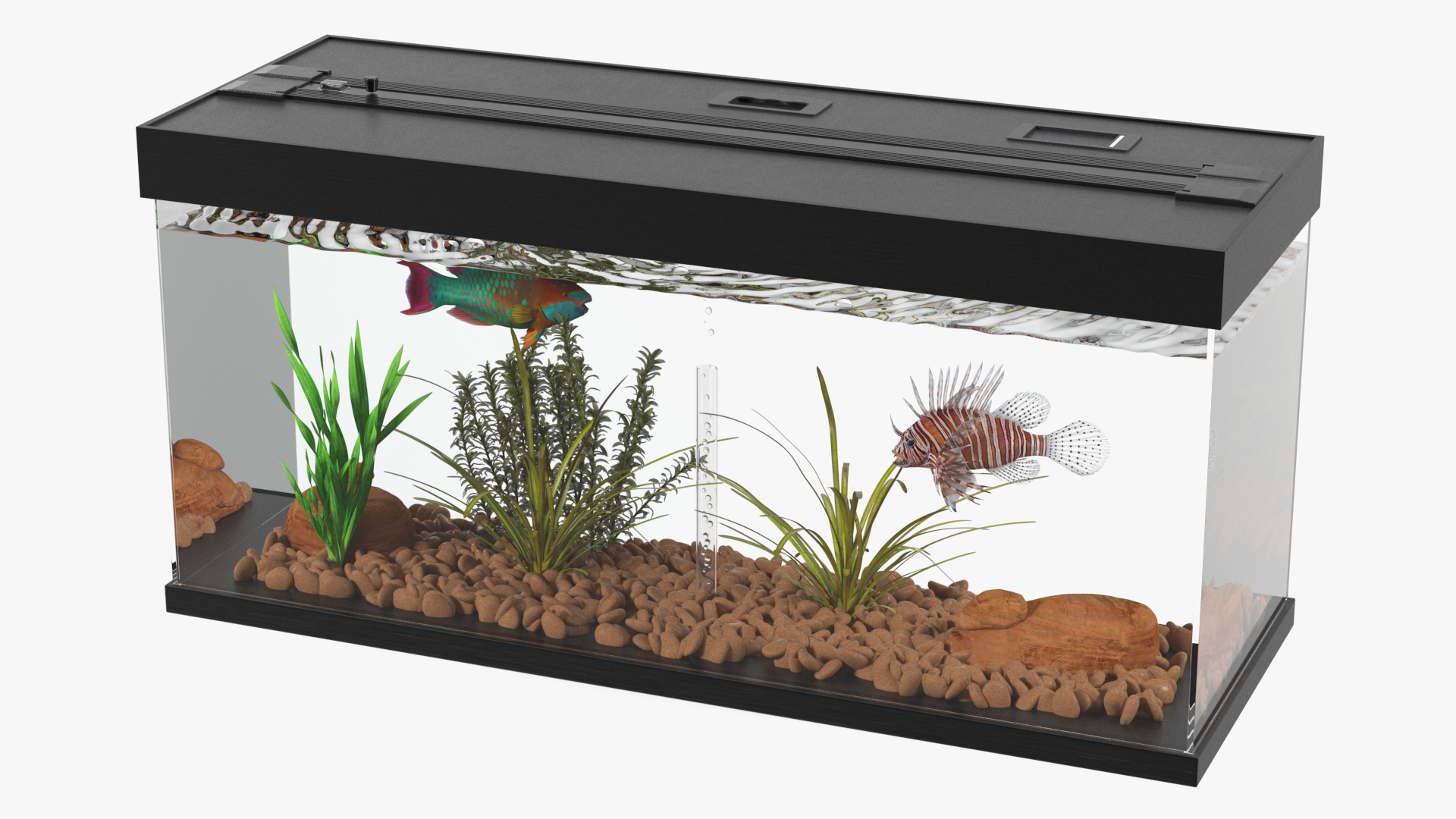 Aquarium Long Black 3D model