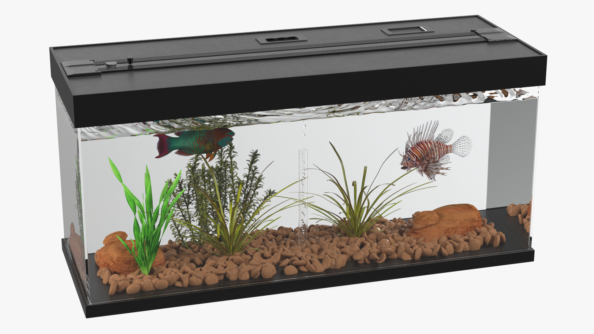 Aquarium Long Black 3D model