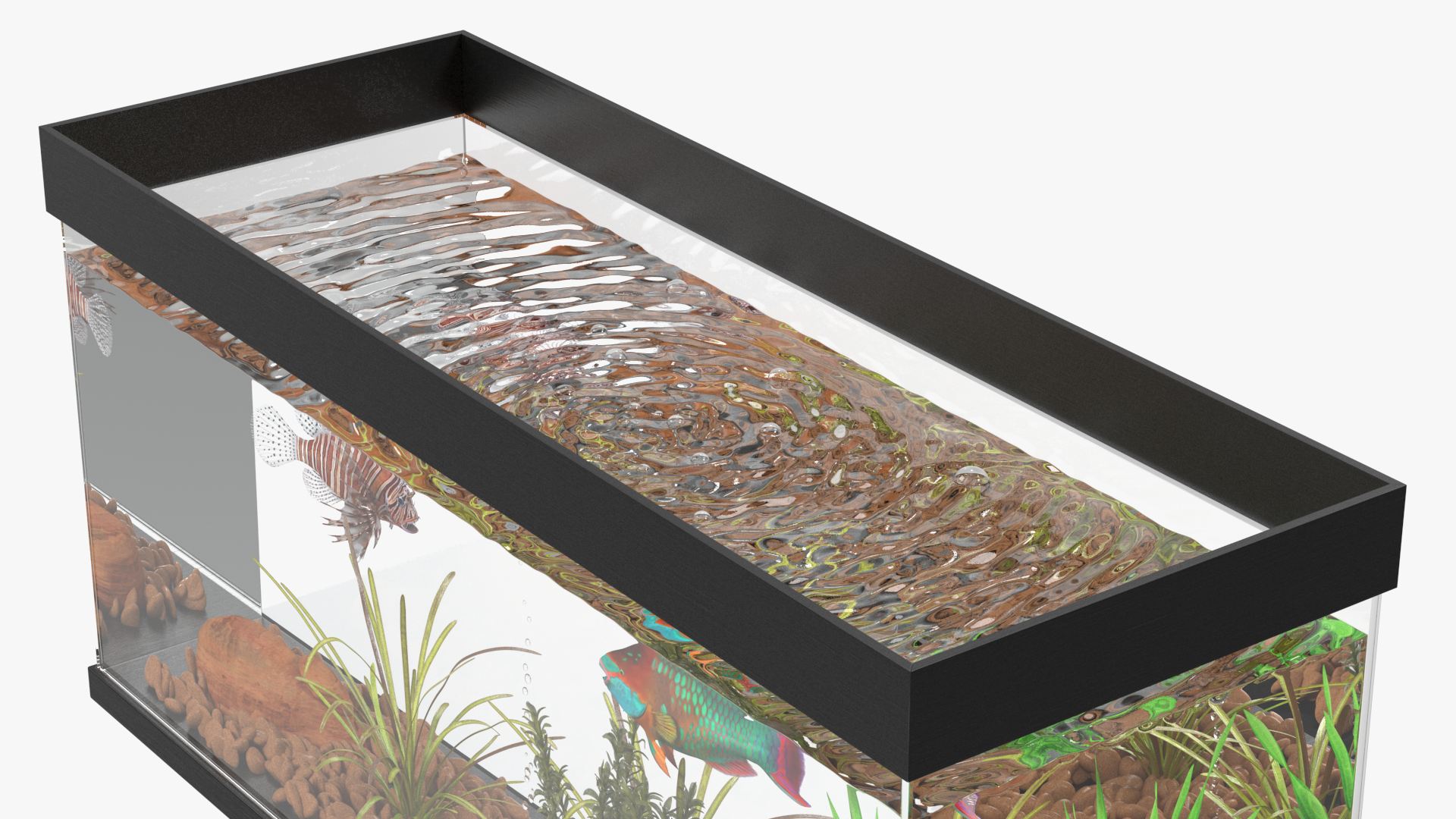 Aquarium Long Black 3D model