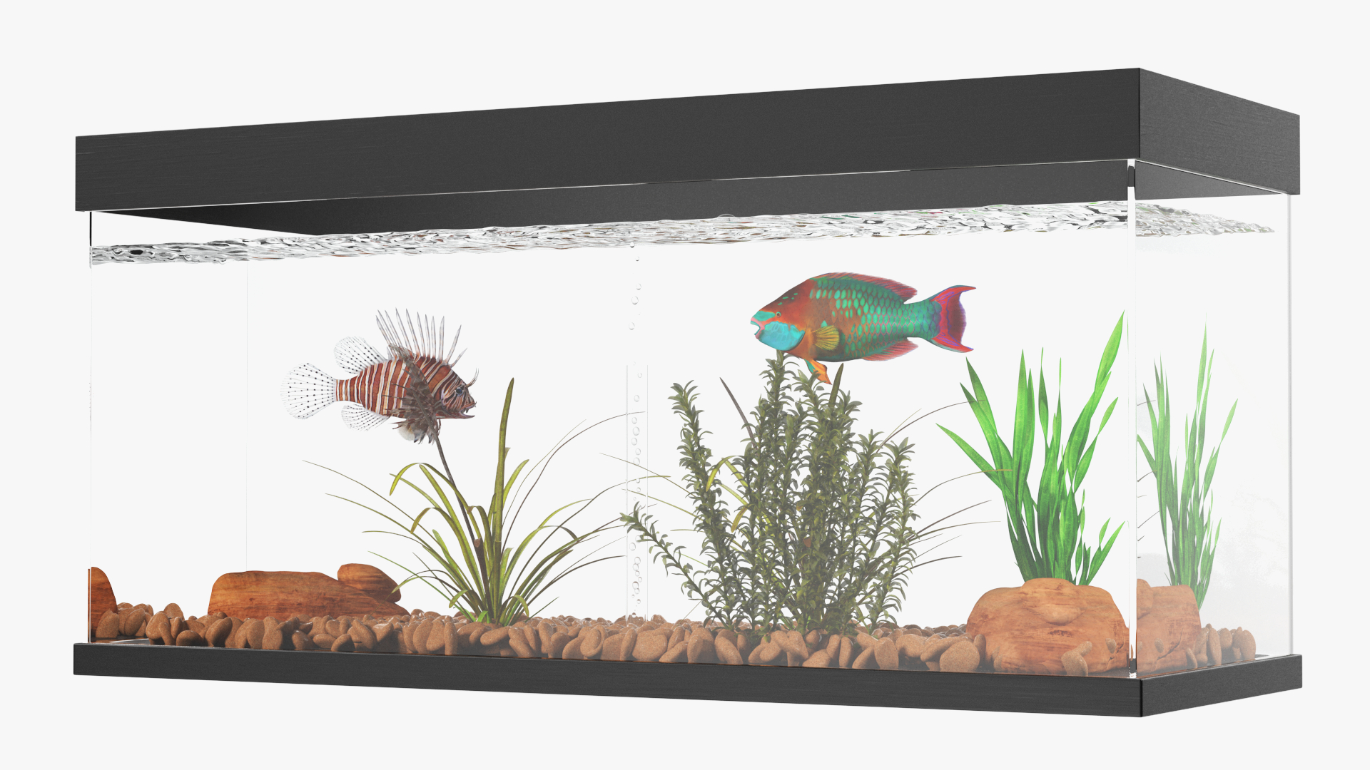 Aquarium Long Black 3D model