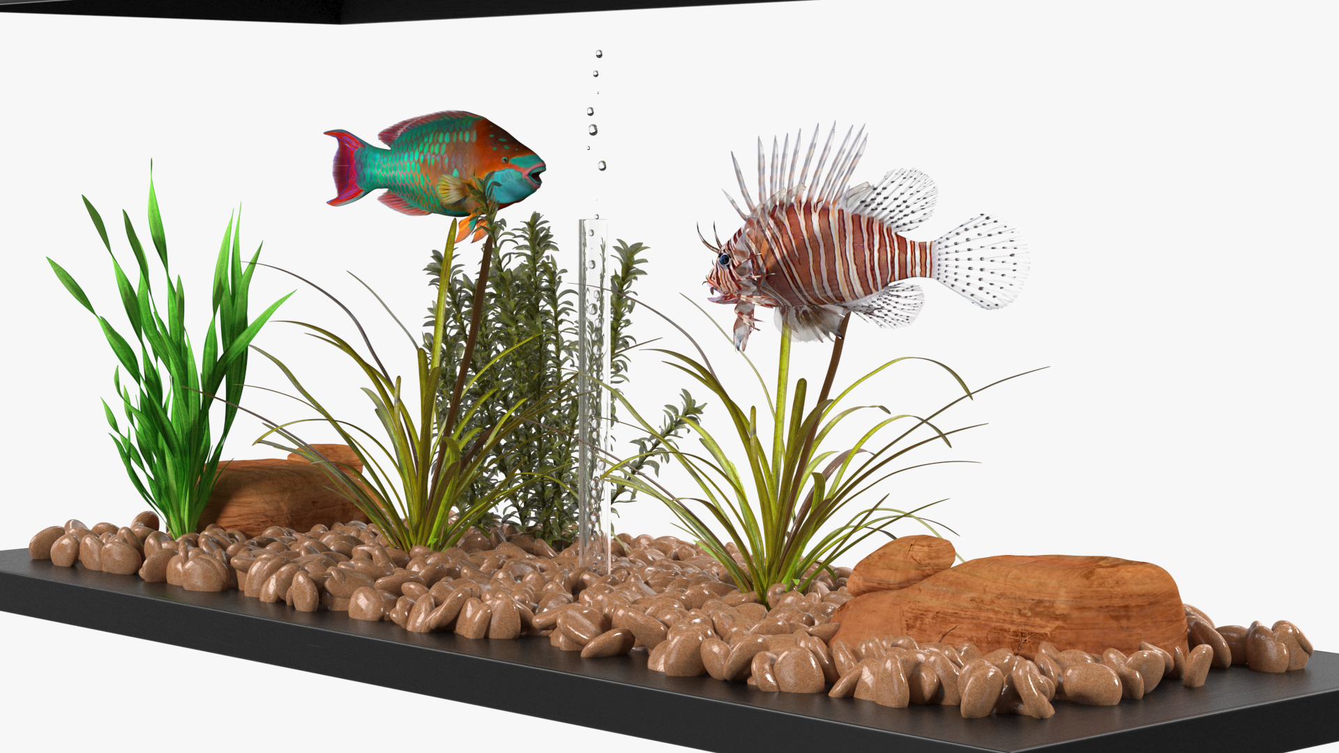 Aquarium Long Black 3D model