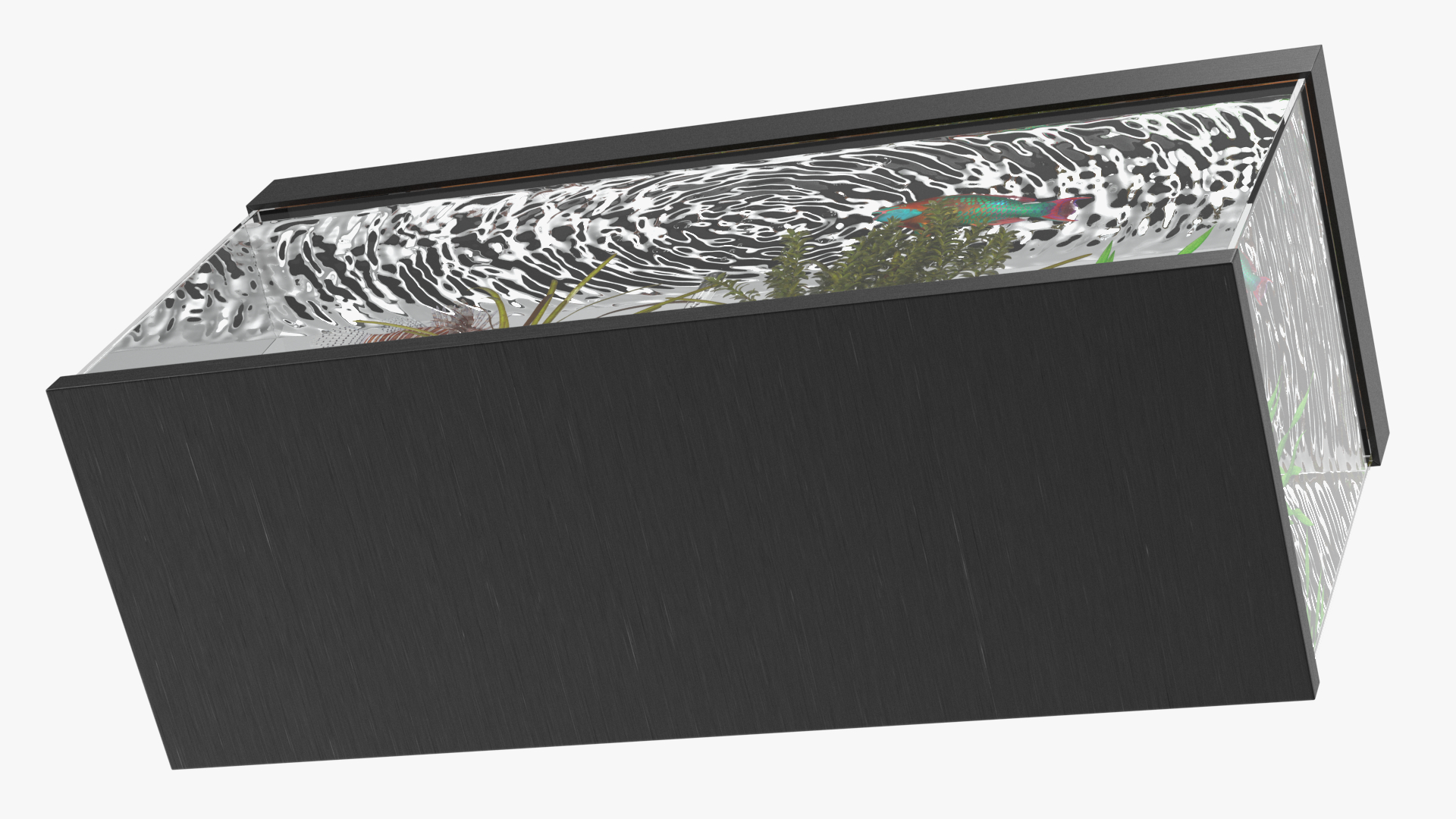 Aquarium Long Black 3D model