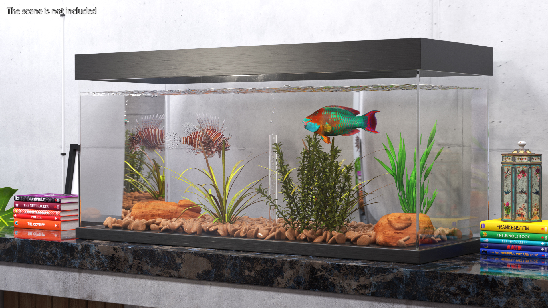 Aquarium Long Black 3D model