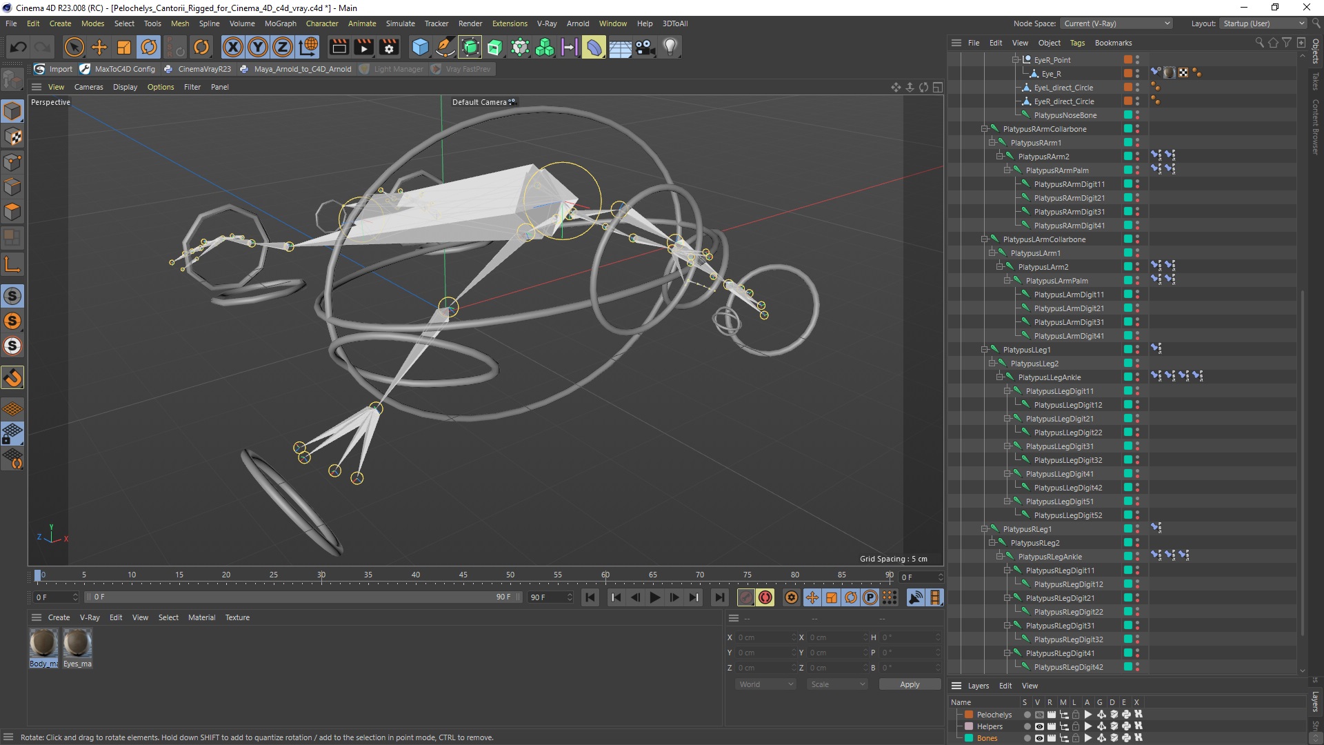 3D model Pelochelys Cantorii Rigged for Cinema 4D