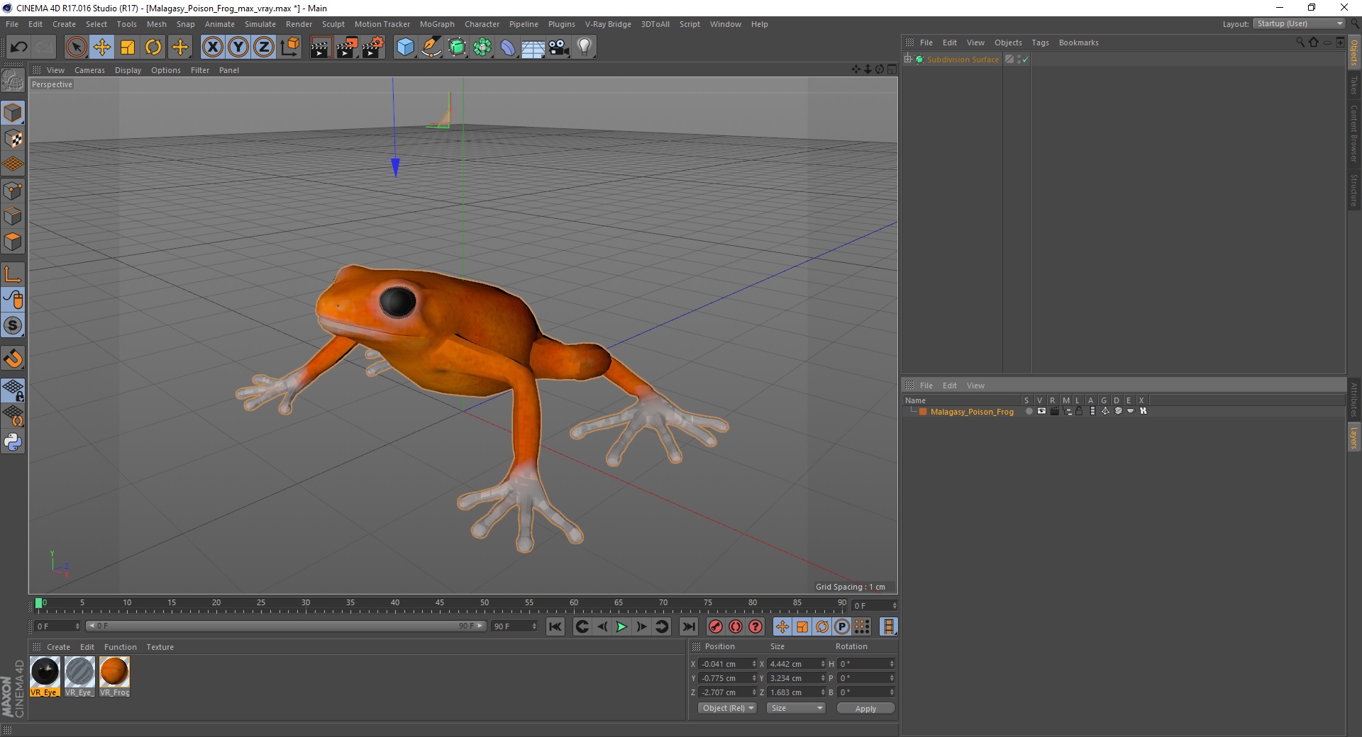 3D model Malagasy Poison Frog