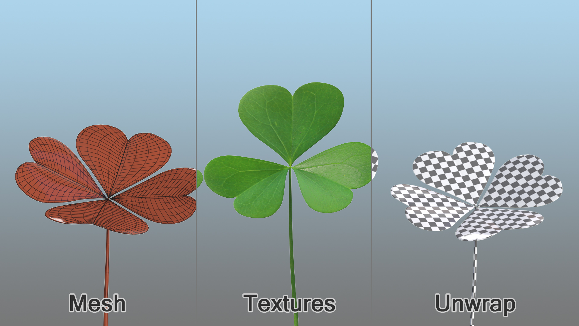 Green Clover Plant Set 3D