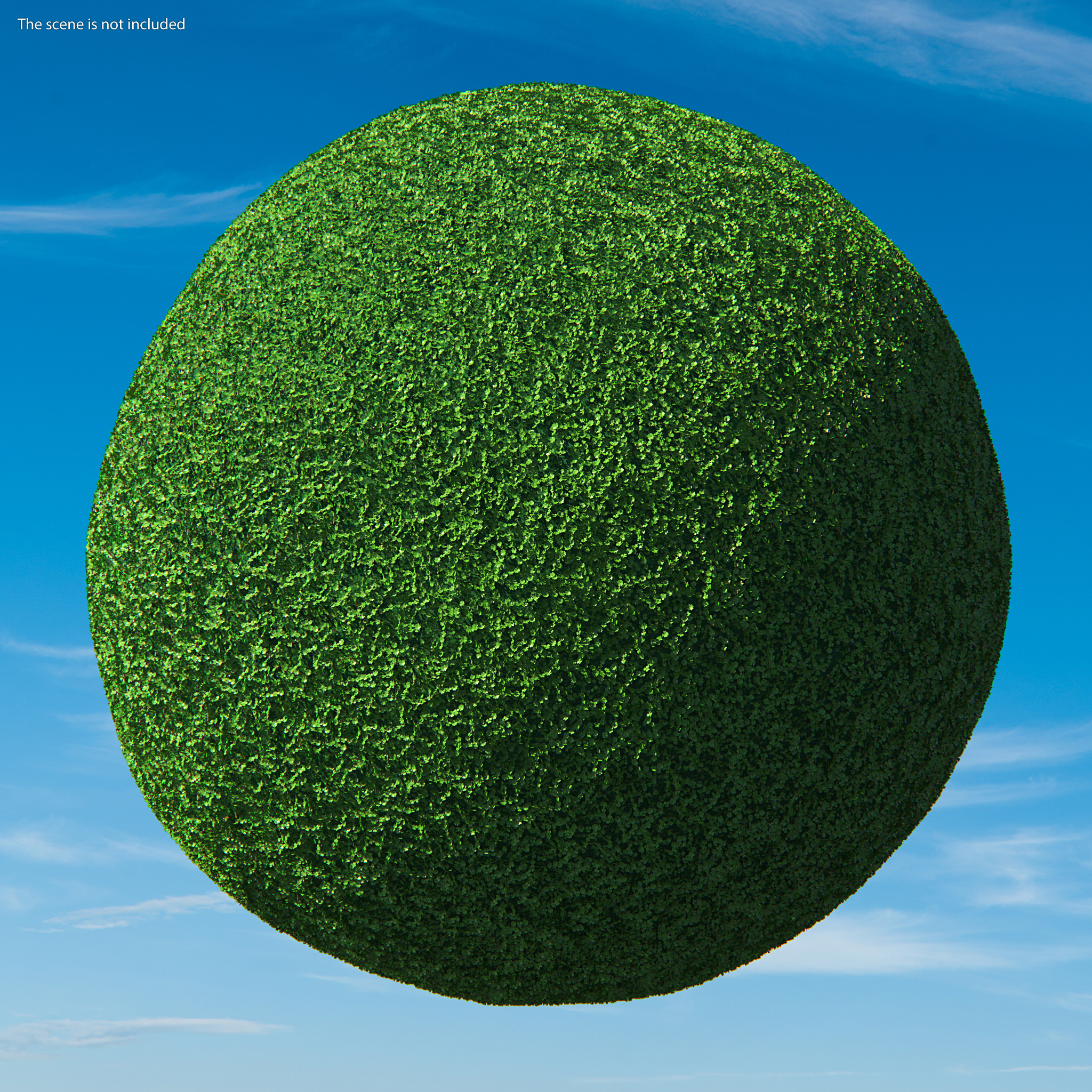 Green Clover Plant Set 3D