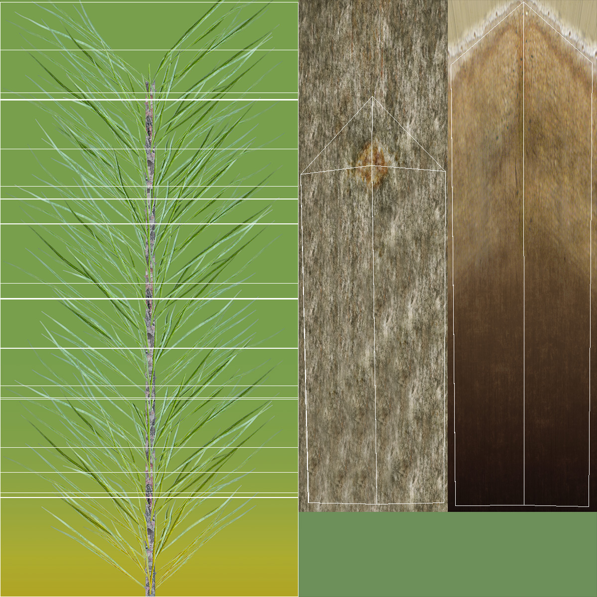 Pine Tree 3D model