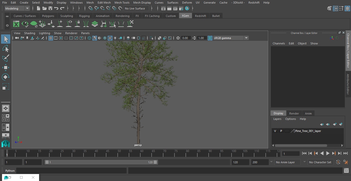 Pine Tree 3D model