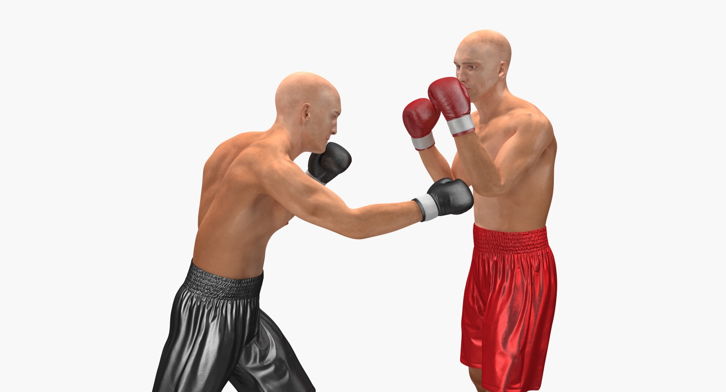 3D model Two Boxers