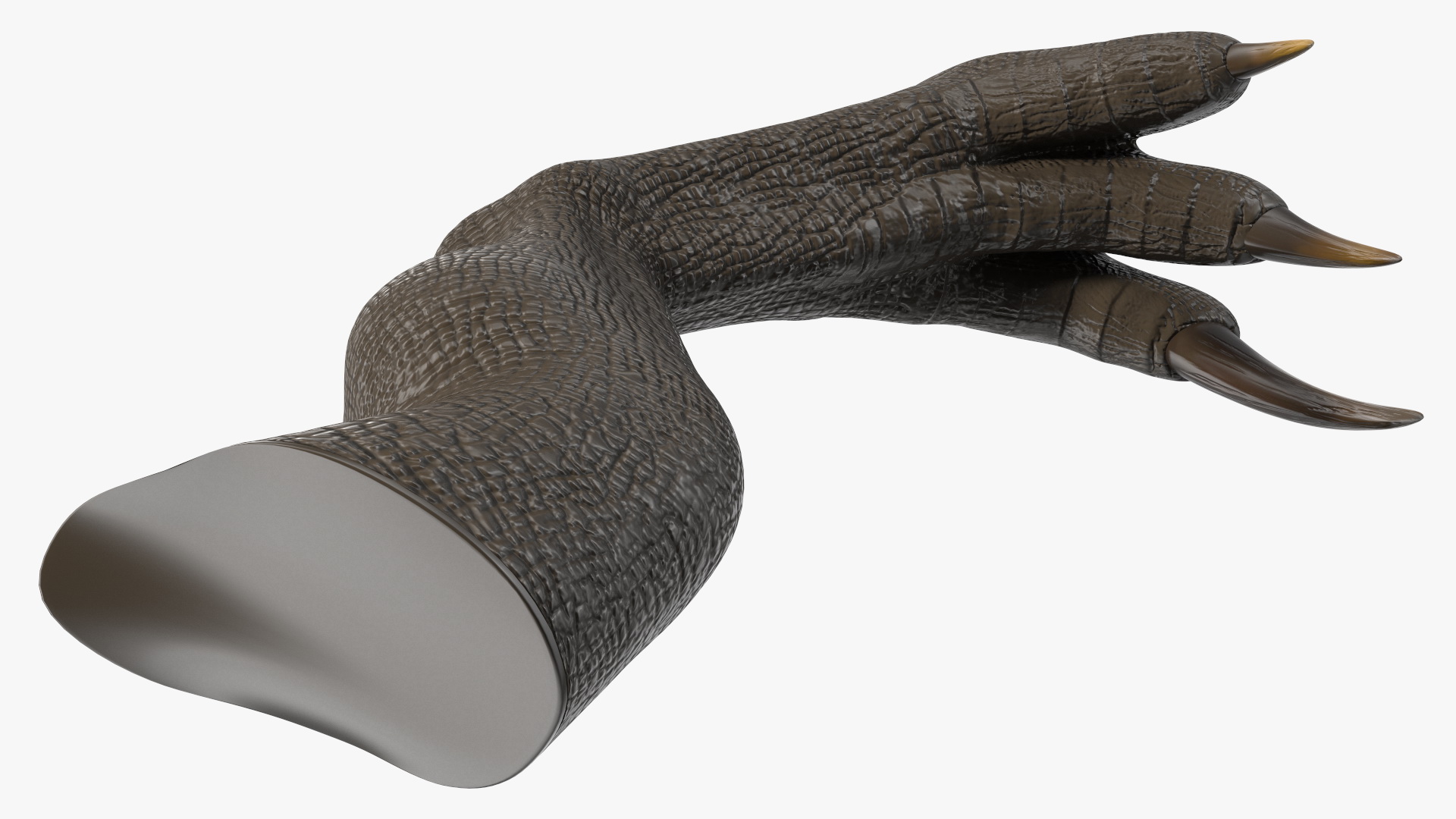 Indoraptor Leg 3D model