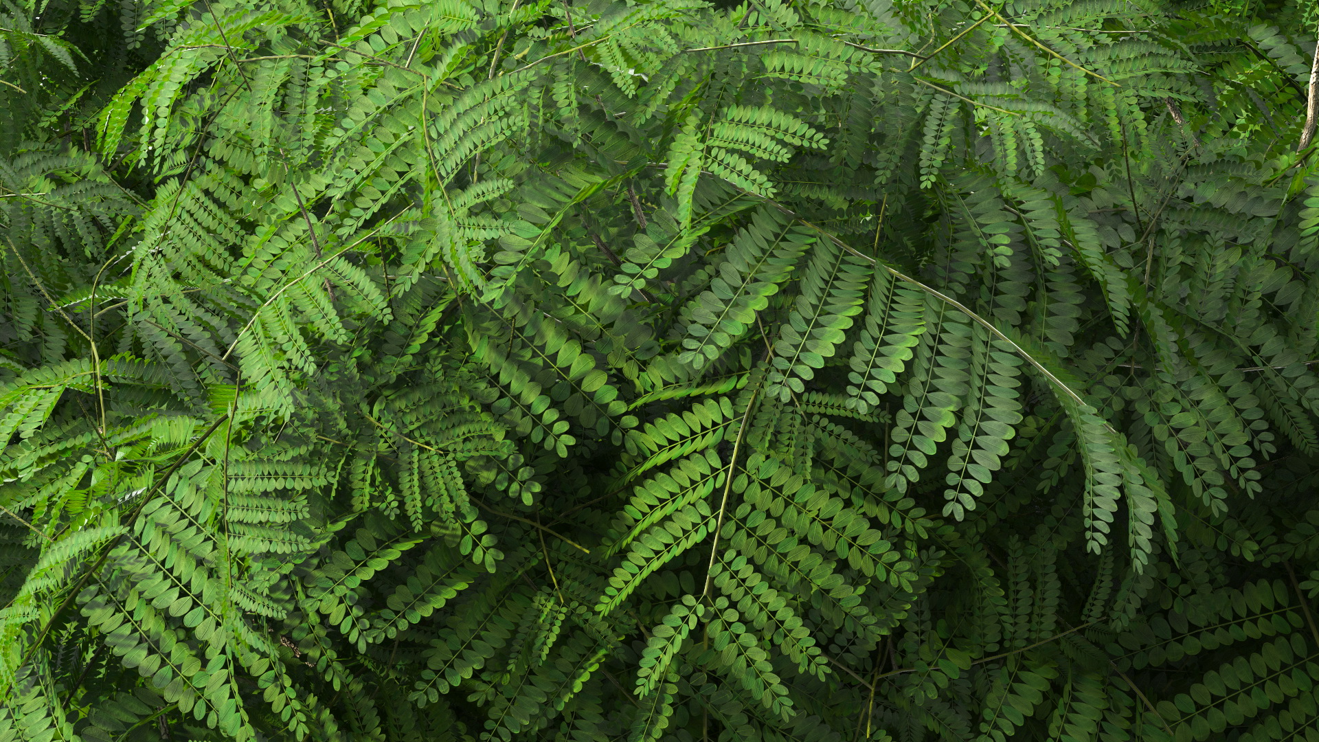 Copperpod Tree 3D model