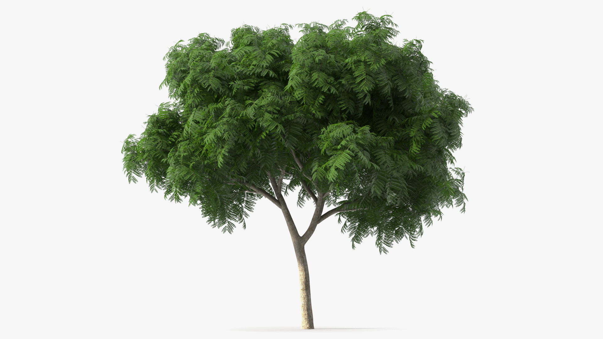 Copperpod Tree 3D model