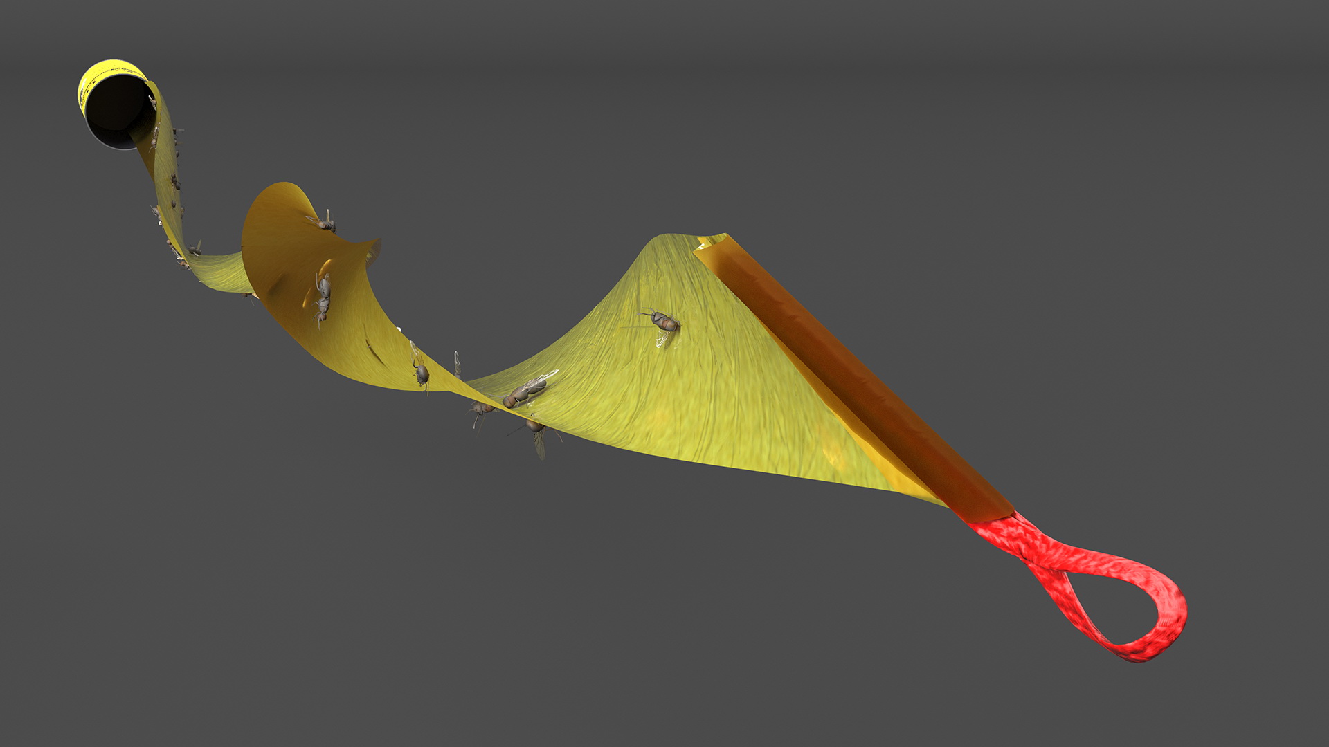 3D model Fly Tape Paper Opened with Fly