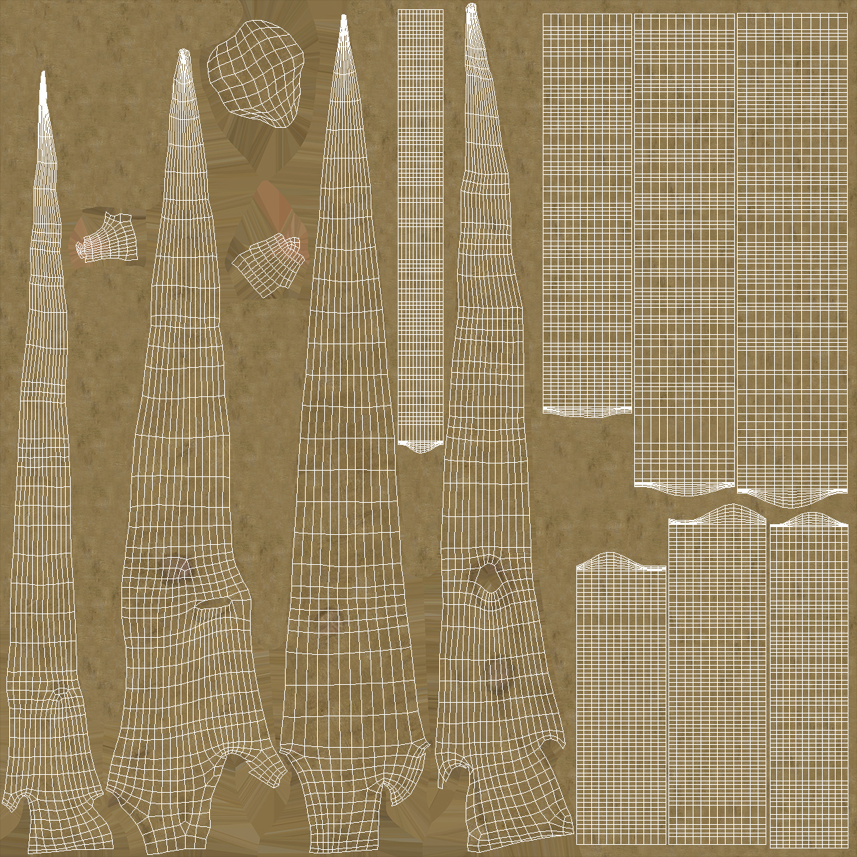3D Delonix Regia Tree model