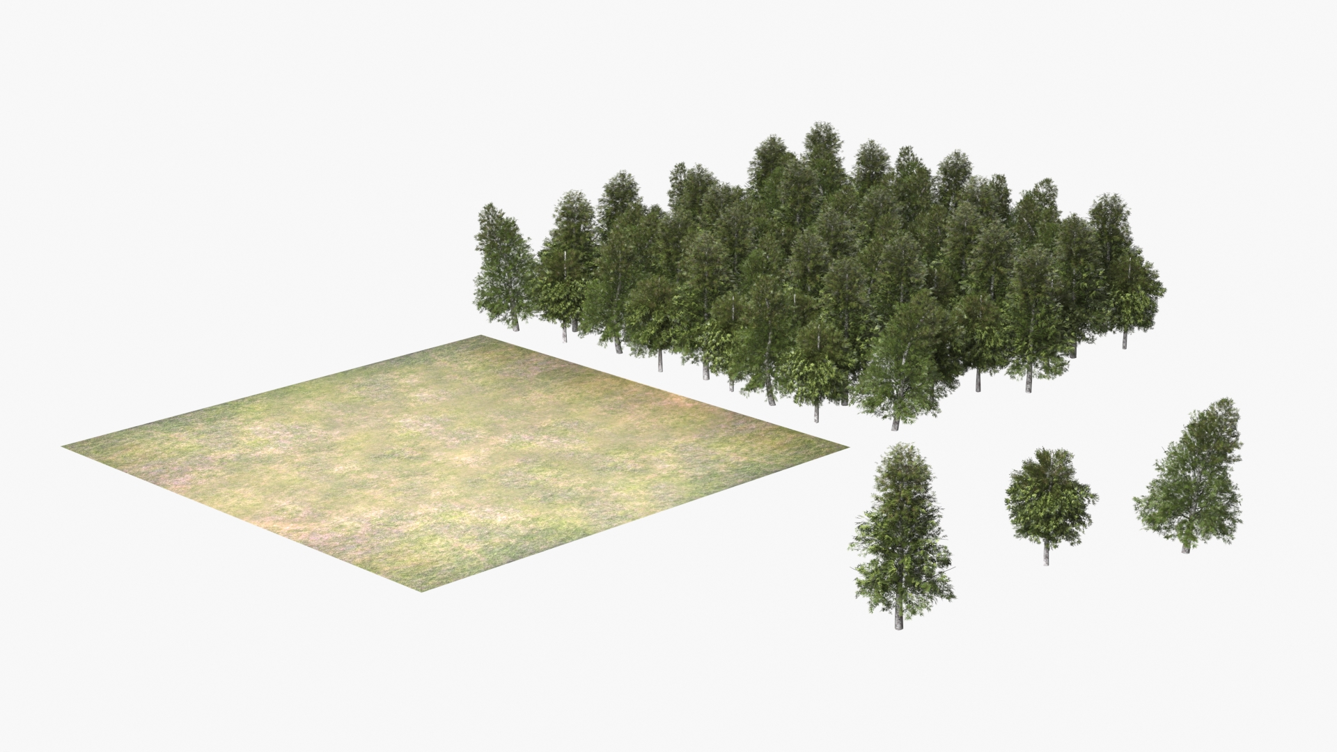 Low Poly Birch Grove Woodland Cluster Green - view 8