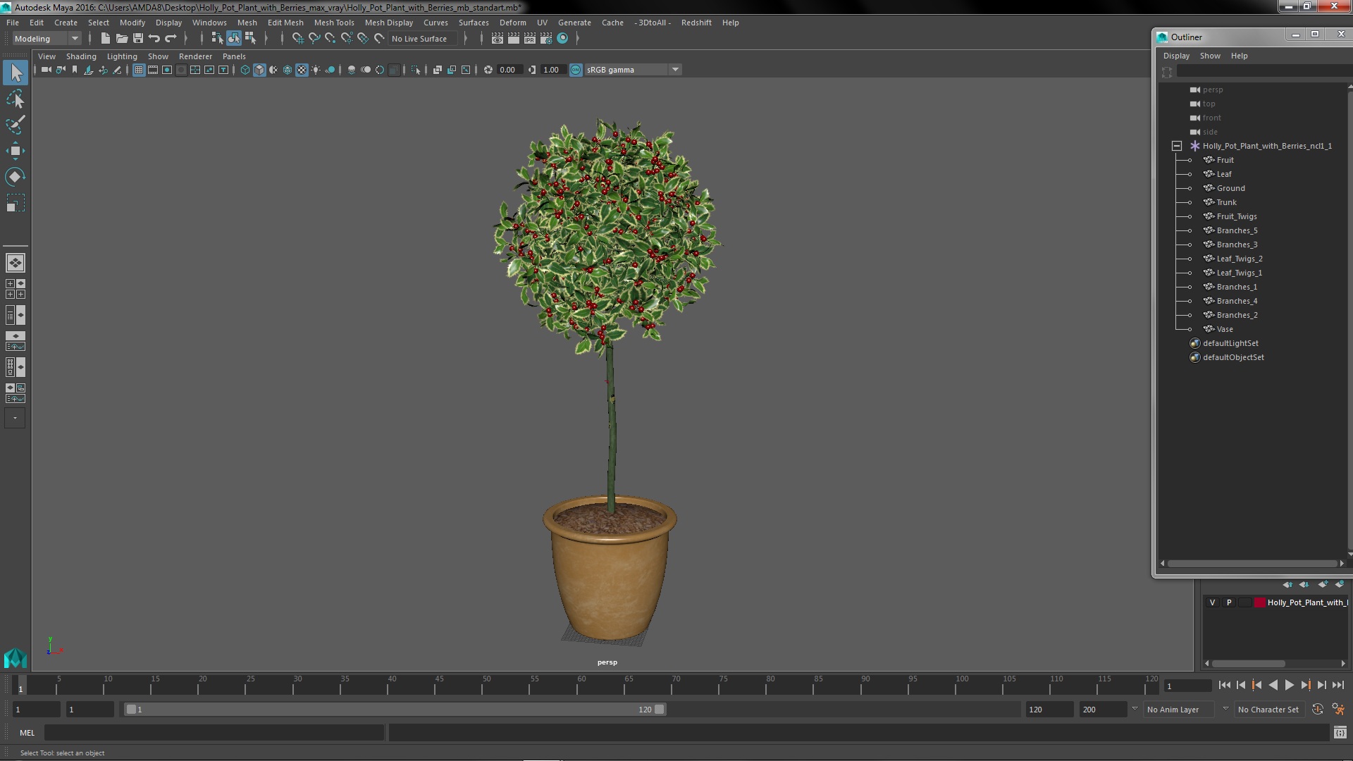 3D Holly Pot Plant with Berries model