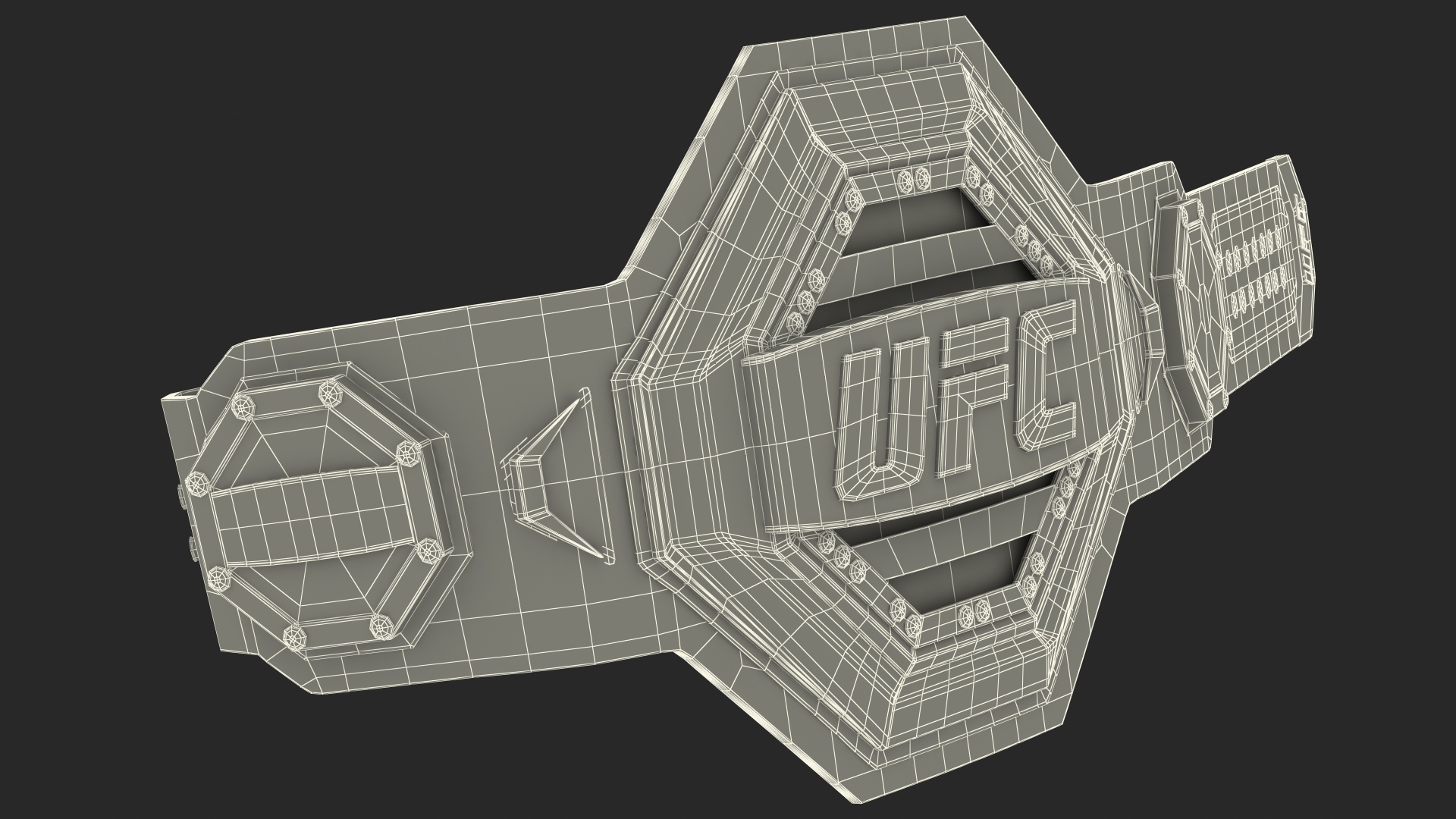 UFC Champion Belt 3D
