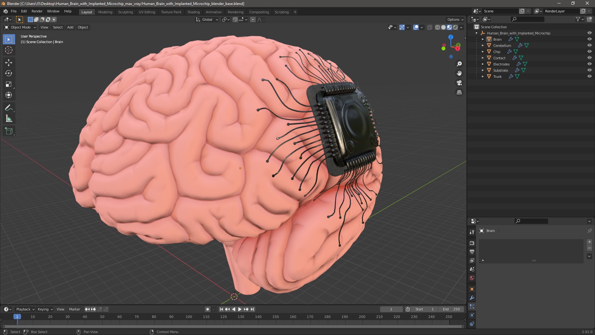 3D Human Brain with Implanted Microchip