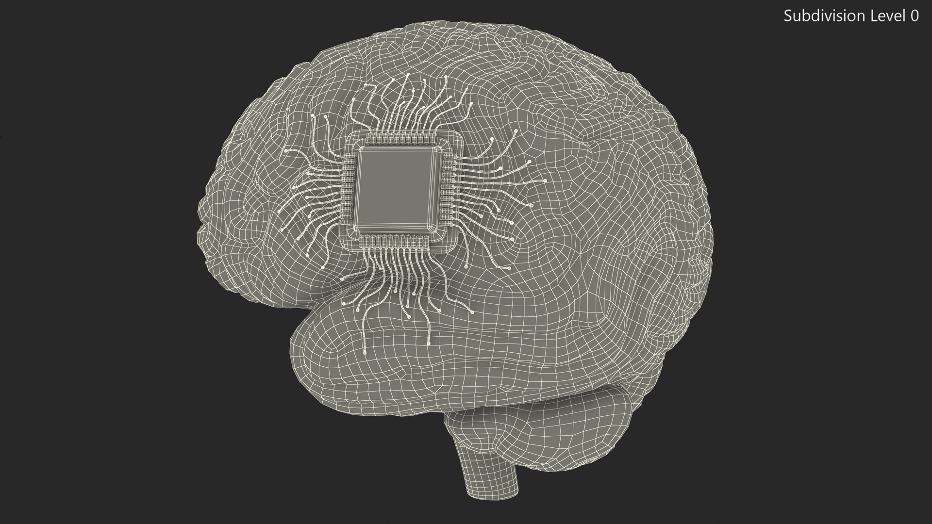 3D Human Brain with Implanted Microchip