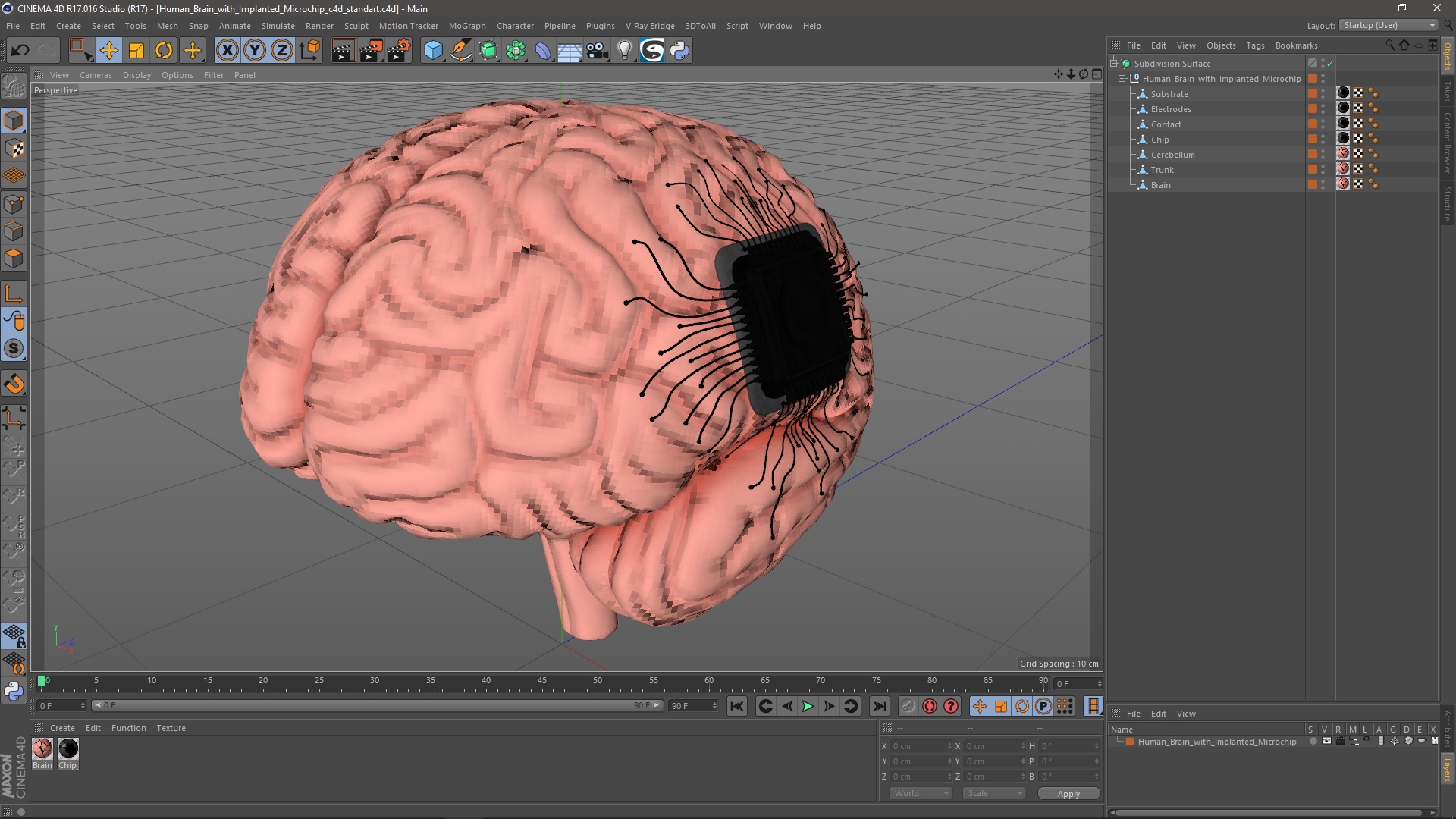 3D Human Brain with Implanted Microchip