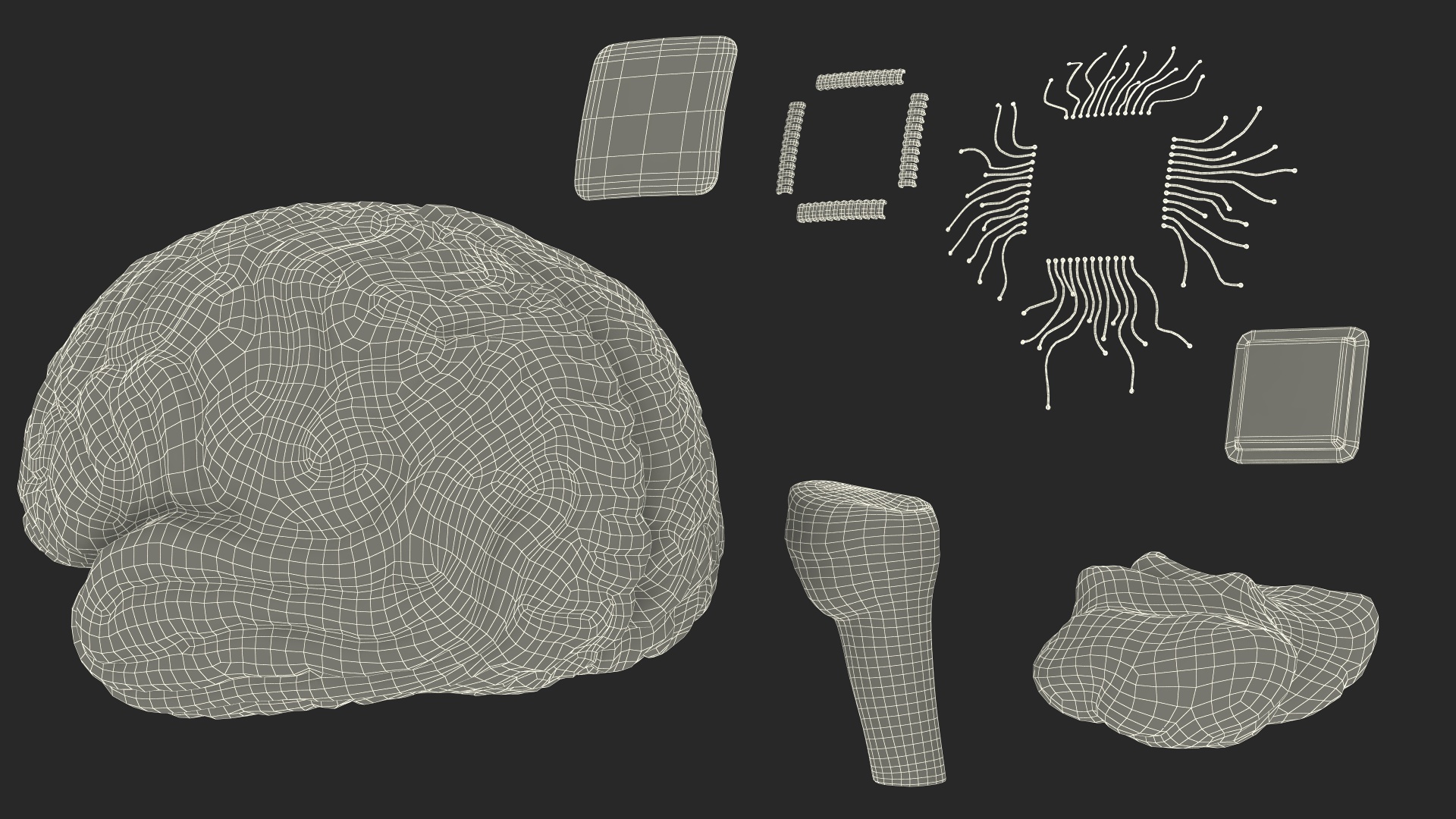 3D Human Brain with Implanted Microchip