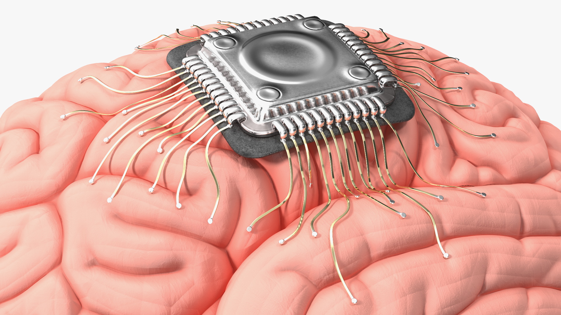 3D Human Brain with Implanted Microchip