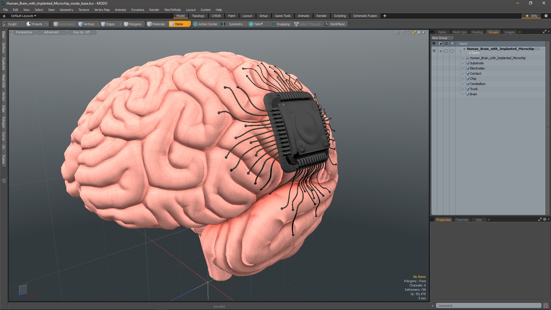 3D Human Brain with Implanted Microchip