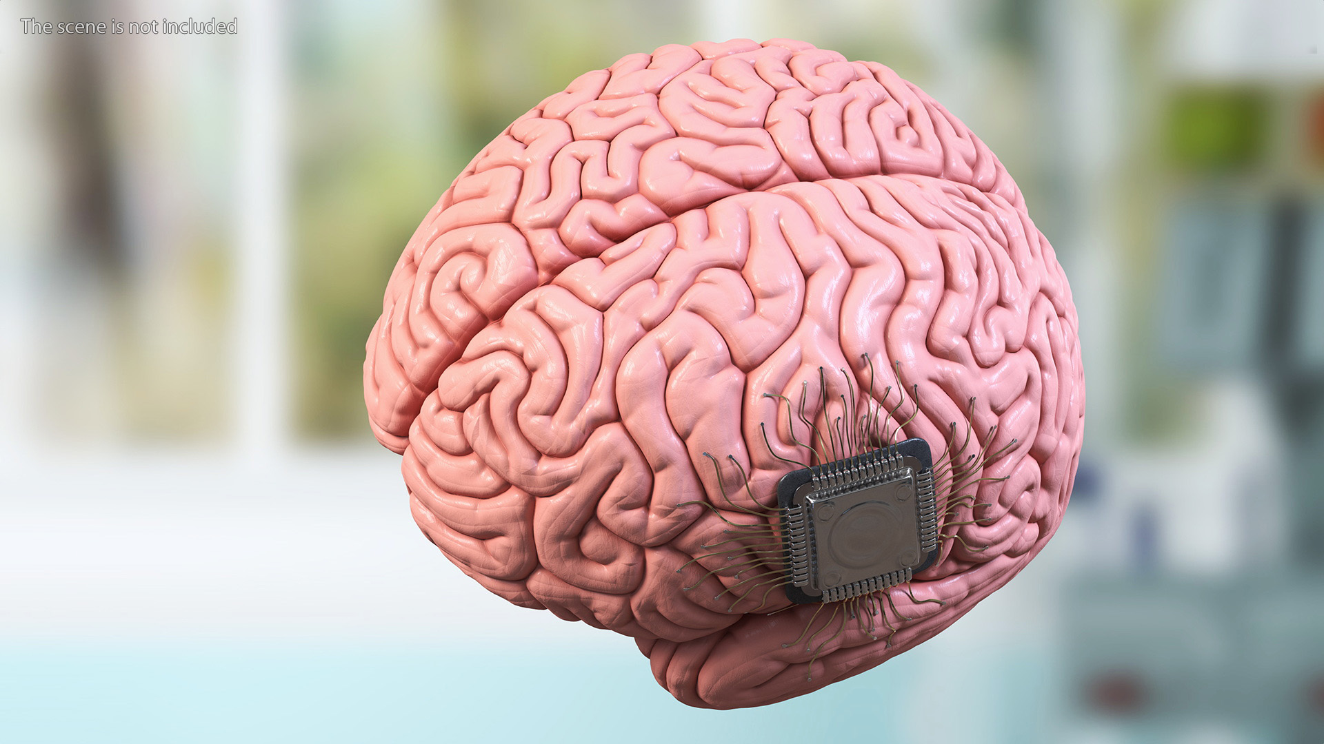 3D Human Brain with Implanted Microchip