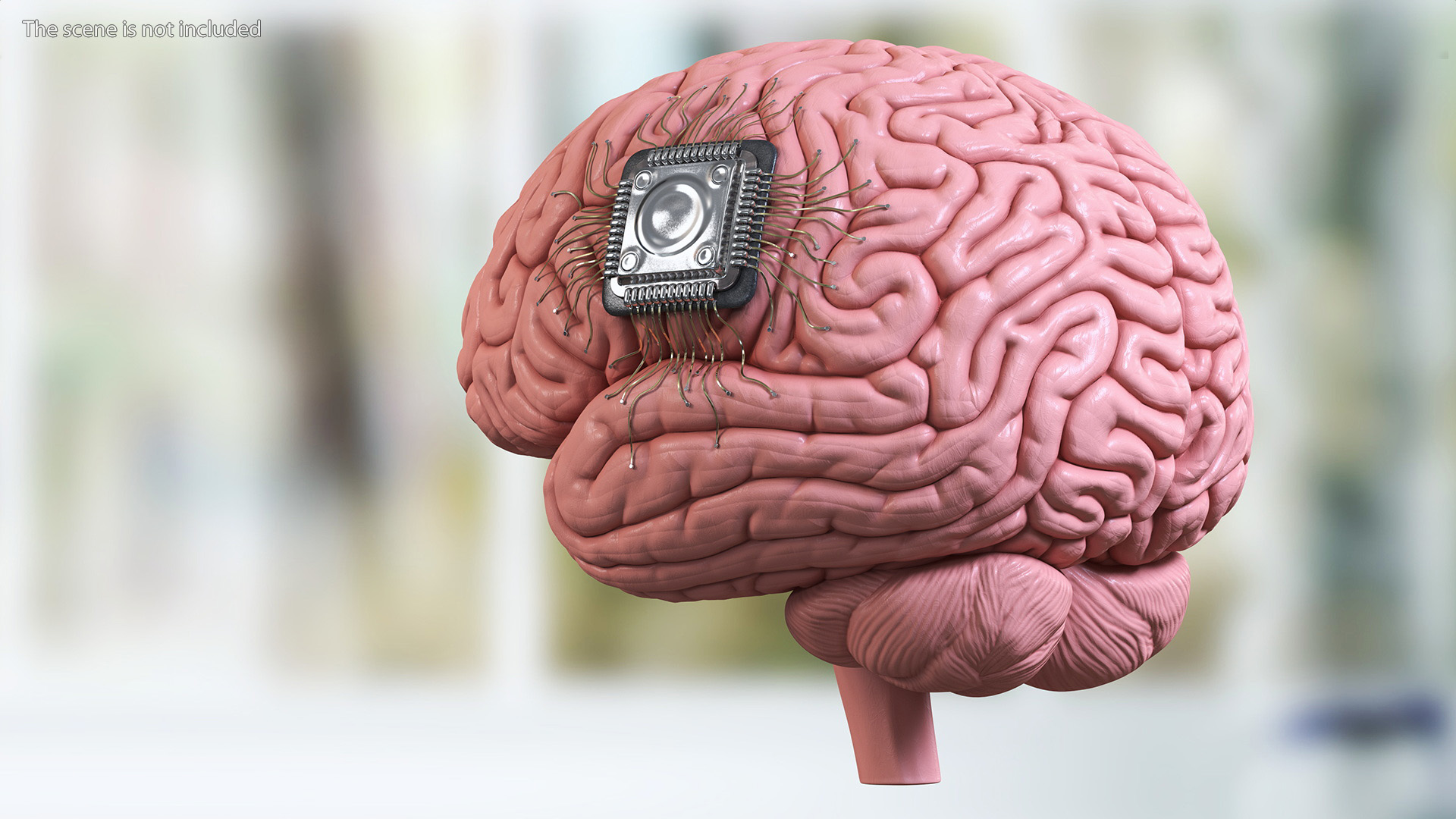 3D Human Brain with Implanted Microchip