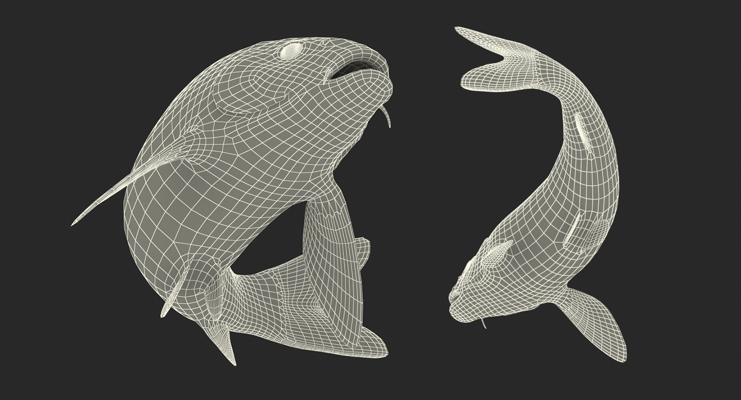 3D Yellow Koi Ogon Fish Swiming Pose model