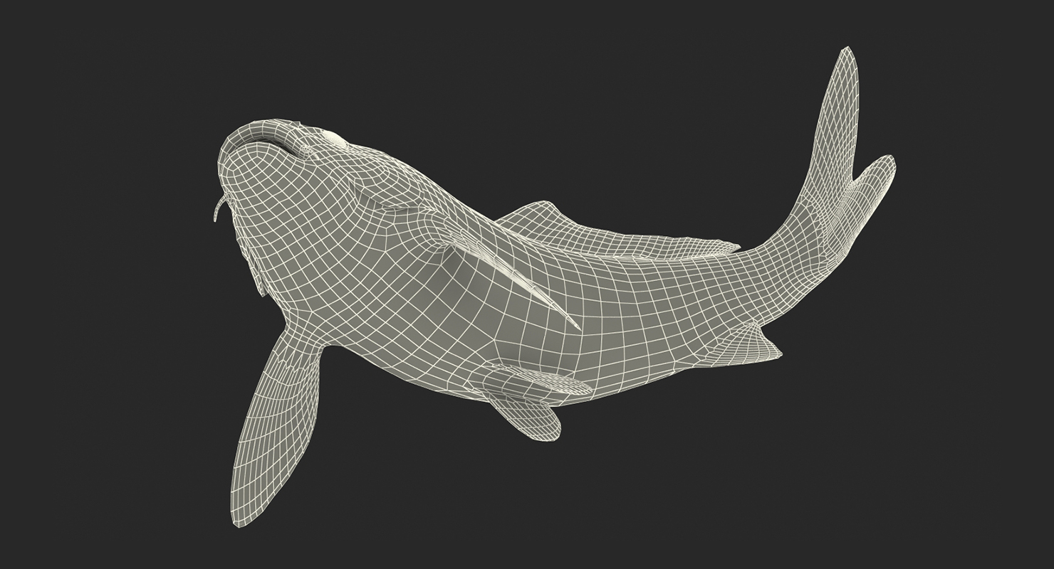 3D Yellow Koi Ogon Fish Swiming Pose model