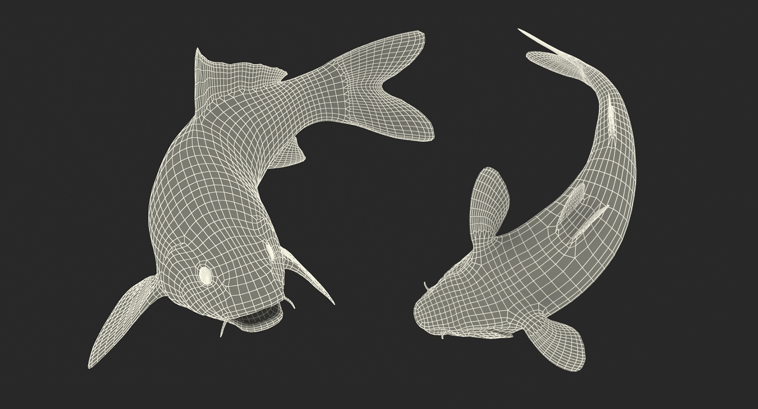 3D Yellow Koi Ogon Fish Swiming Pose model