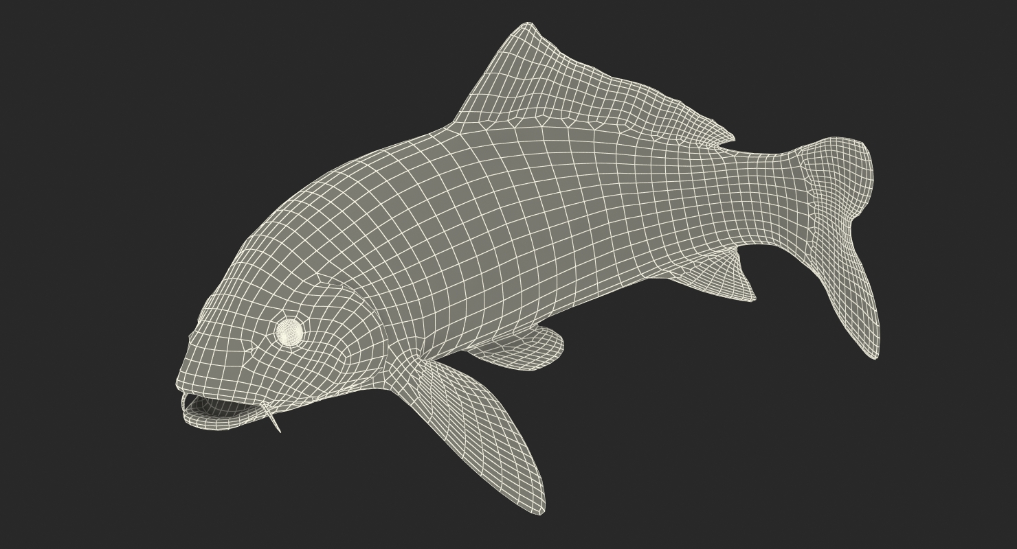 3D Yellow Koi Ogon Fish Swiming Pose model
