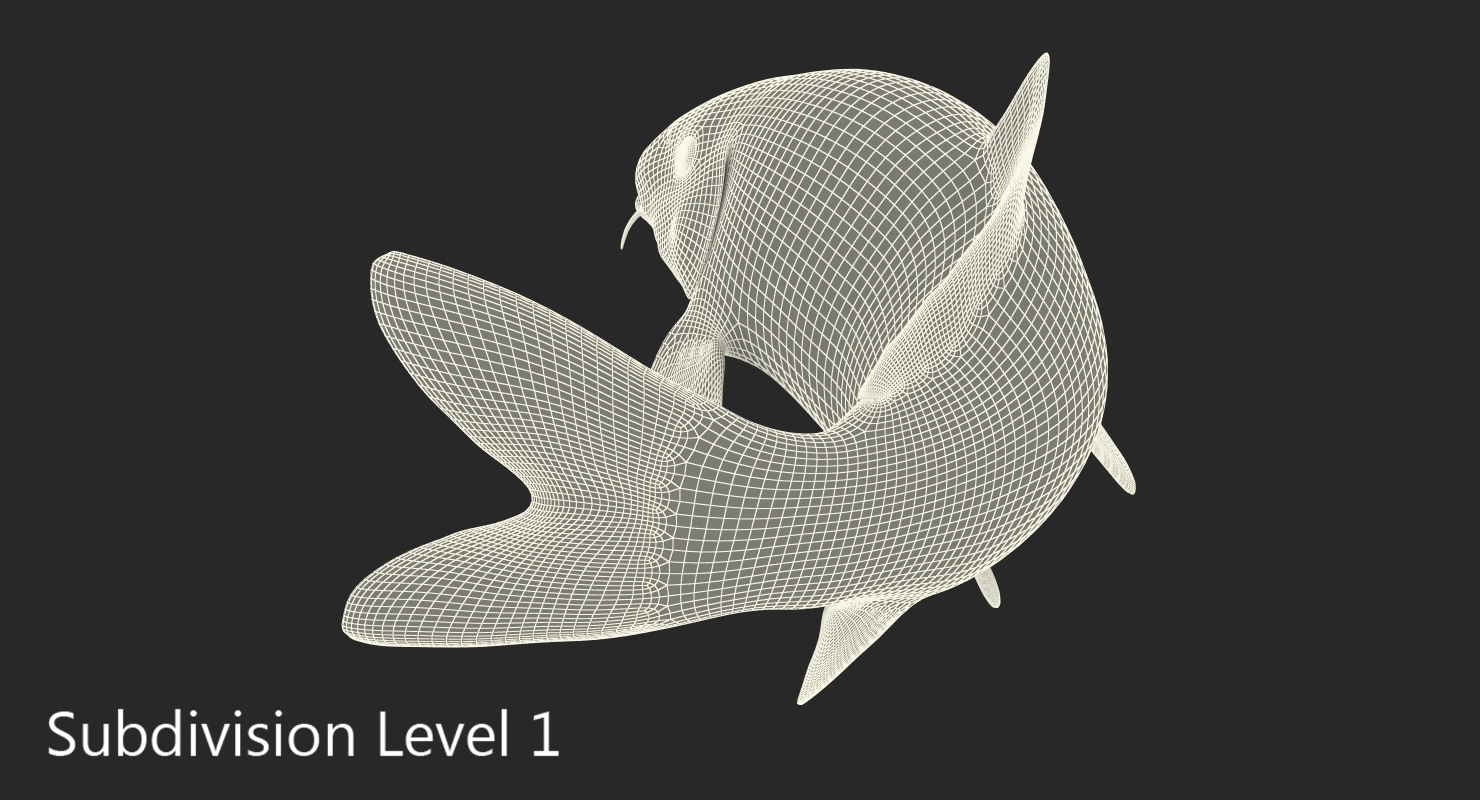 3D Yellow Koi Ogon Fish Swiming Pose model
