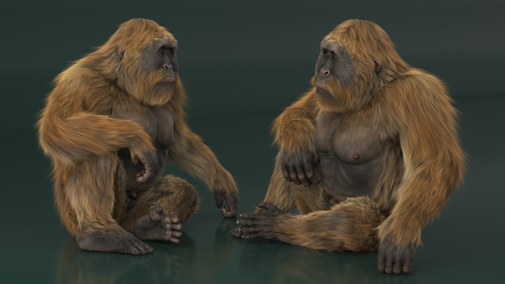 3D model Gigantopithecus in Sitting Pose Fur