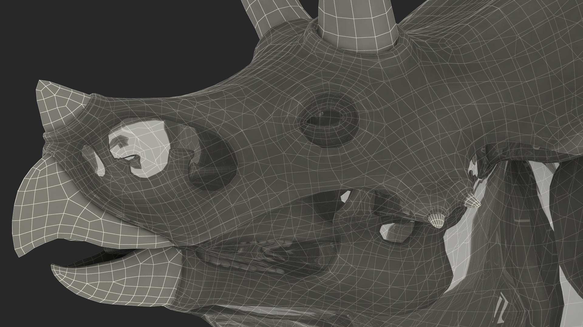 Triceratops Skeleton with Transparent Skin Rigged 3D model