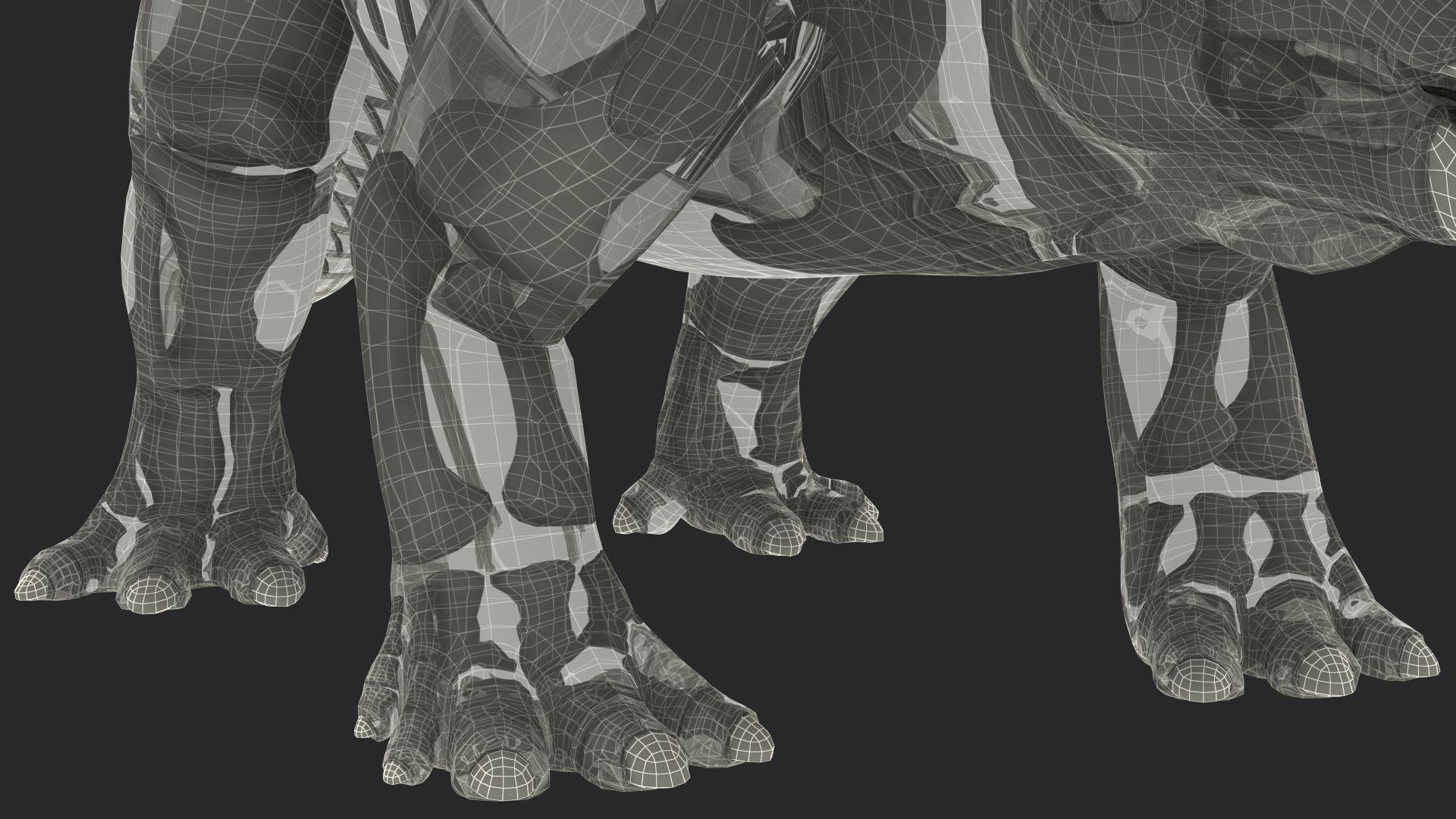 Triceratops Skeleton with Transparent Skin Rigged 3D model