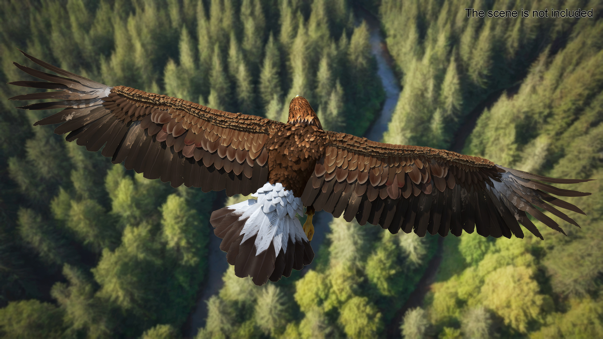 Realistic Flying Gurney Eagle 3D model