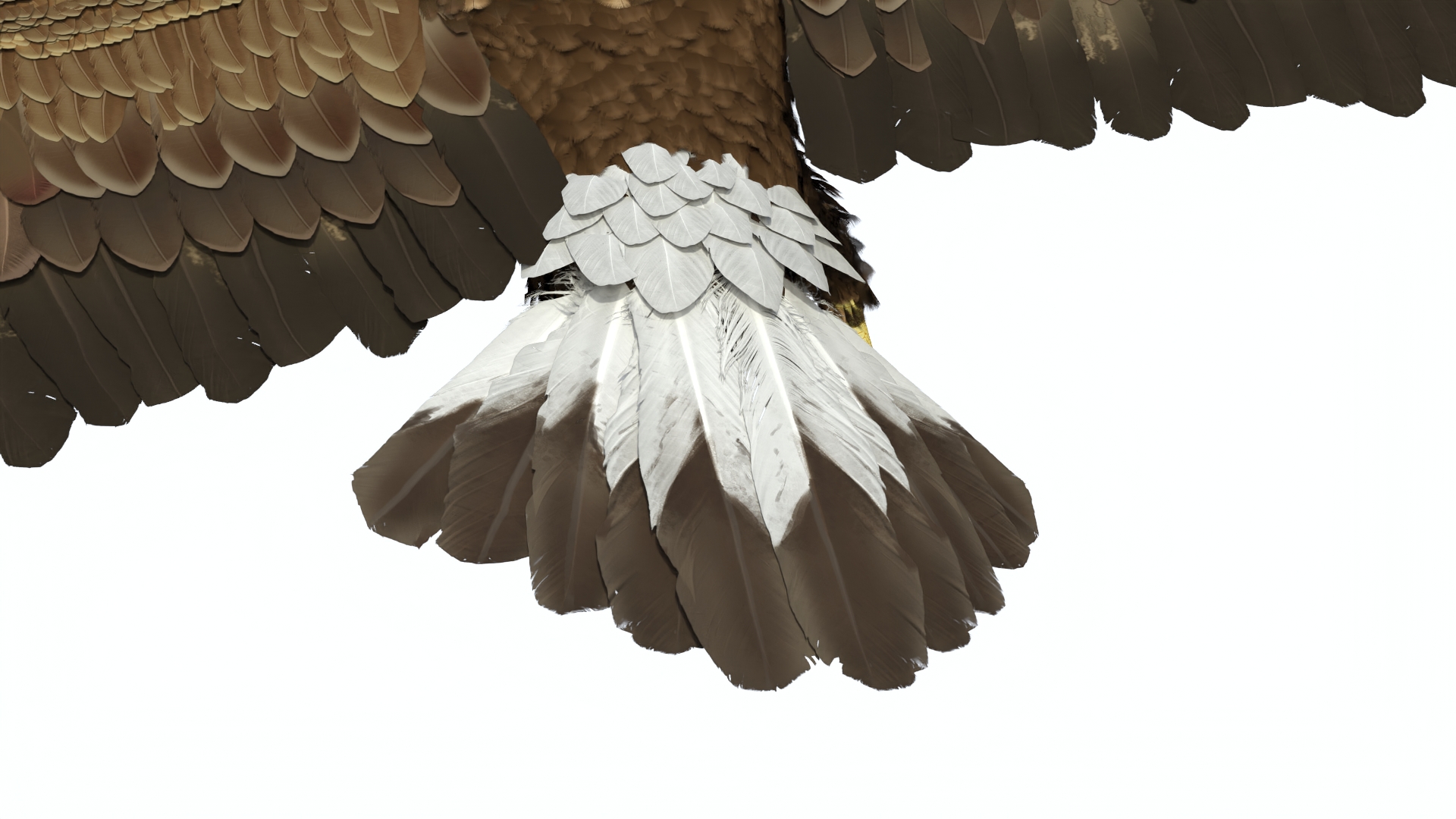Realistic Flying Gurney Eagle 3D model
